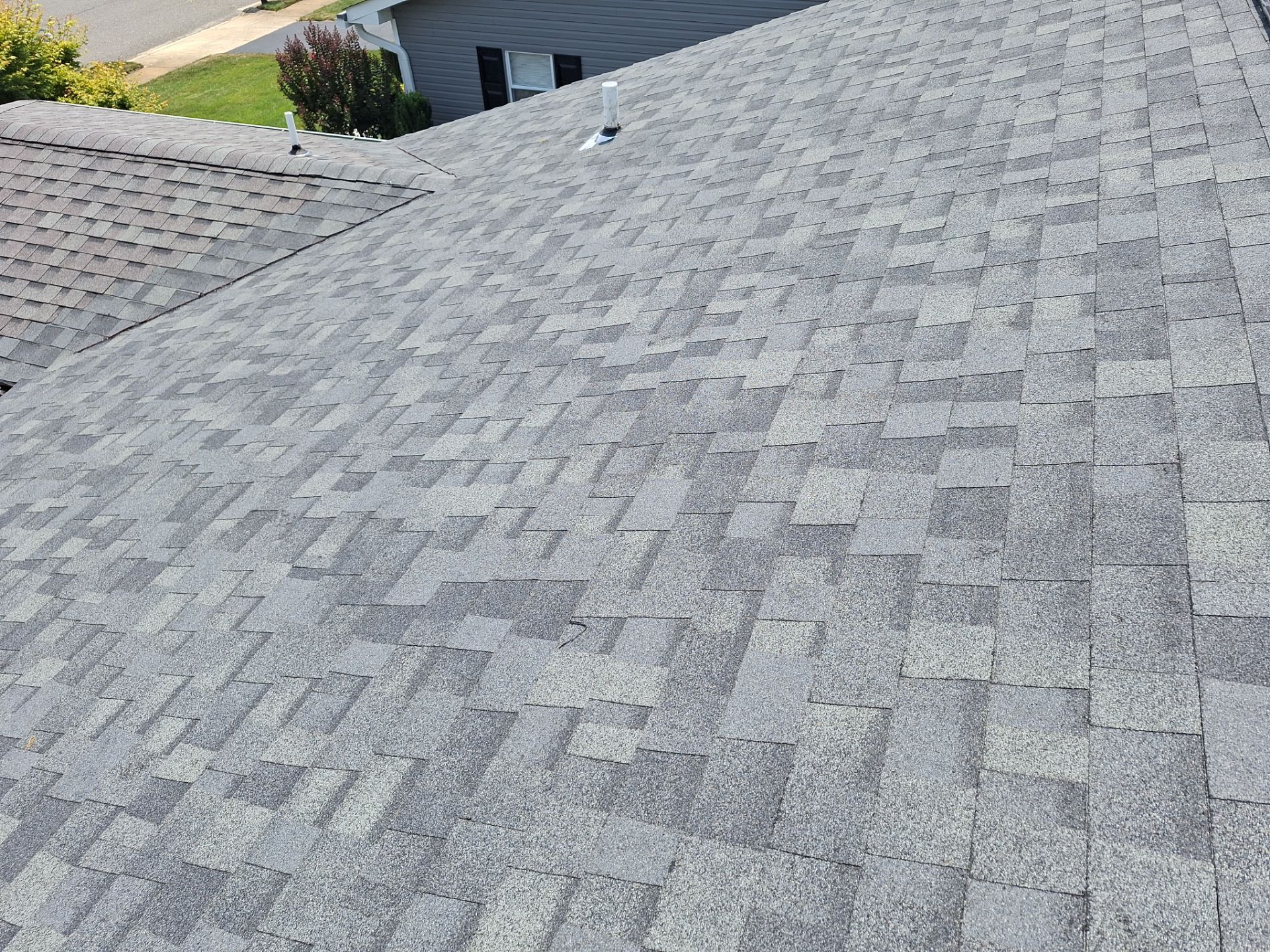 Silver Birch Shingles by Reimagine Roofing