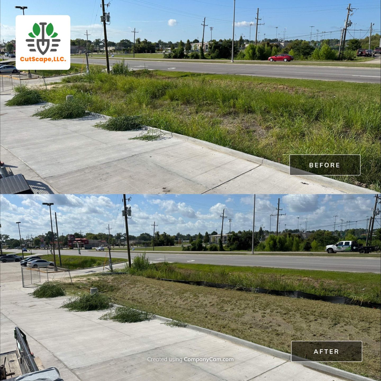 BRUSH REMOVAL / PROPERTY CLEAN UP by CutScape, LLC.