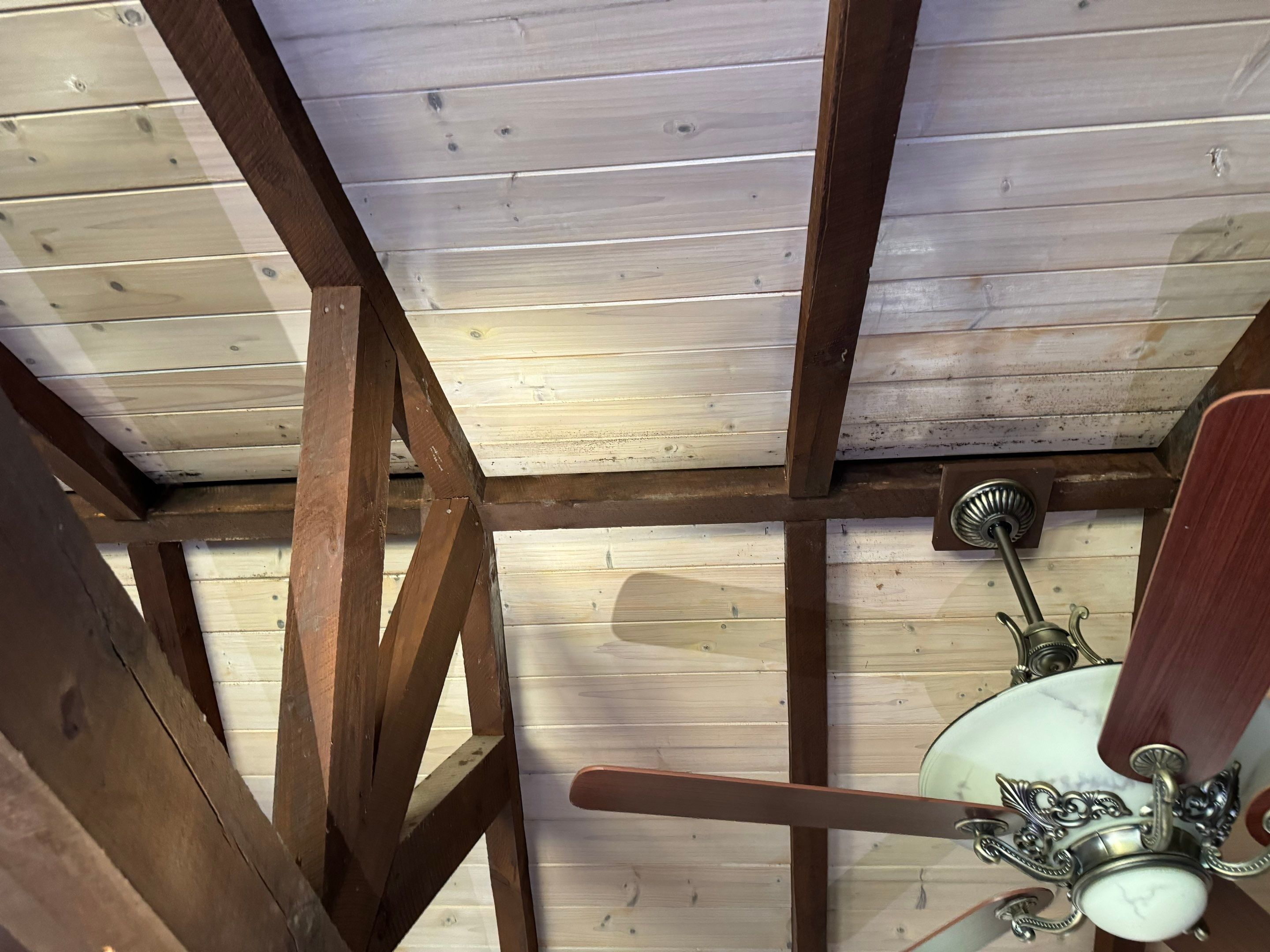 Attic & Sunroom Mold Remediation by Home Guarantee, LLC