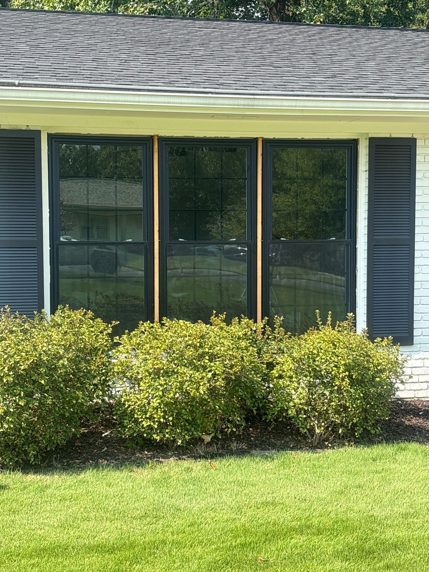 Taylor Project in Hoover by The Window Source