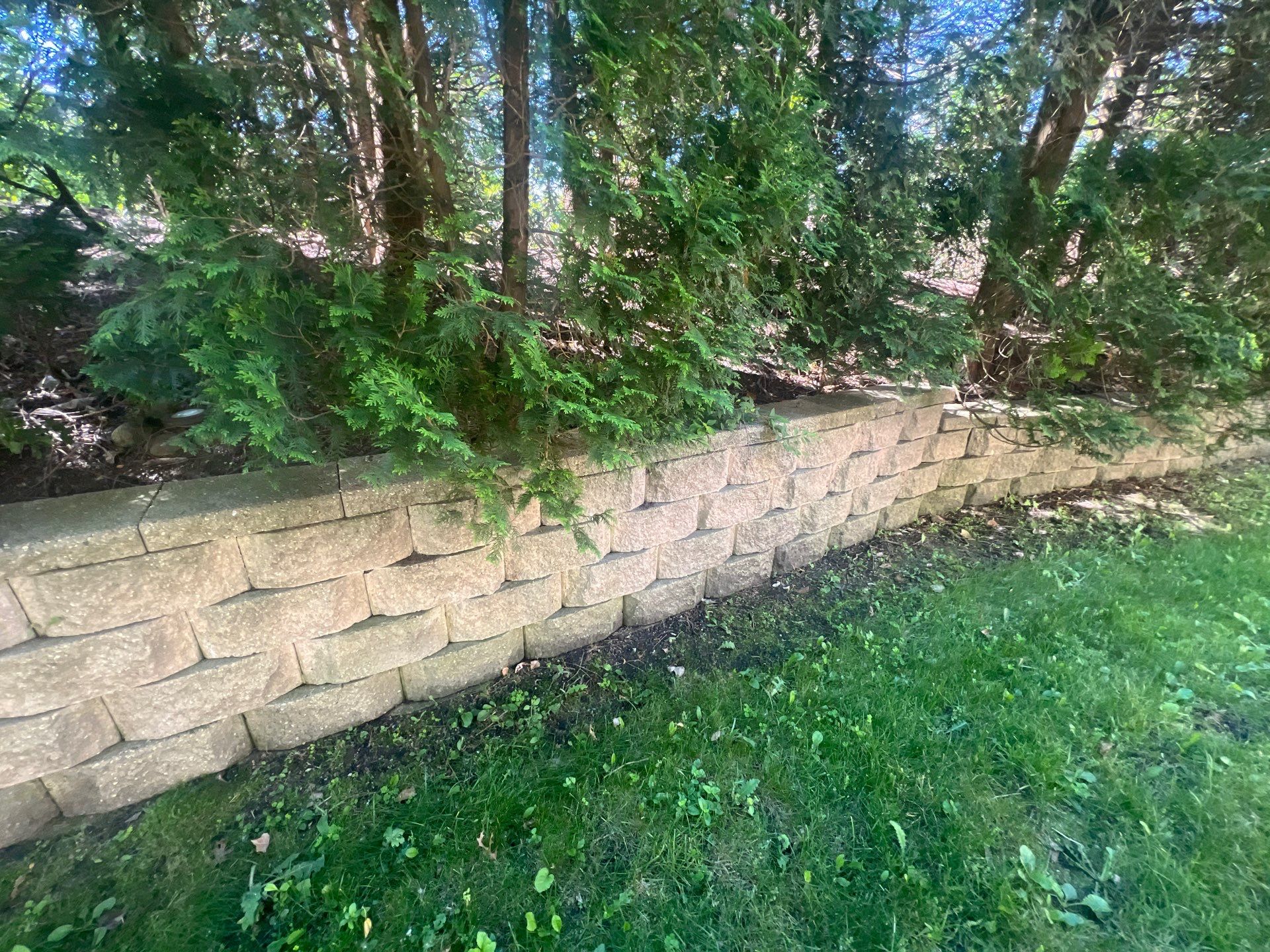 concrete cleaning using Algaecide, soft wash soap by Northern Power Washing LLC.