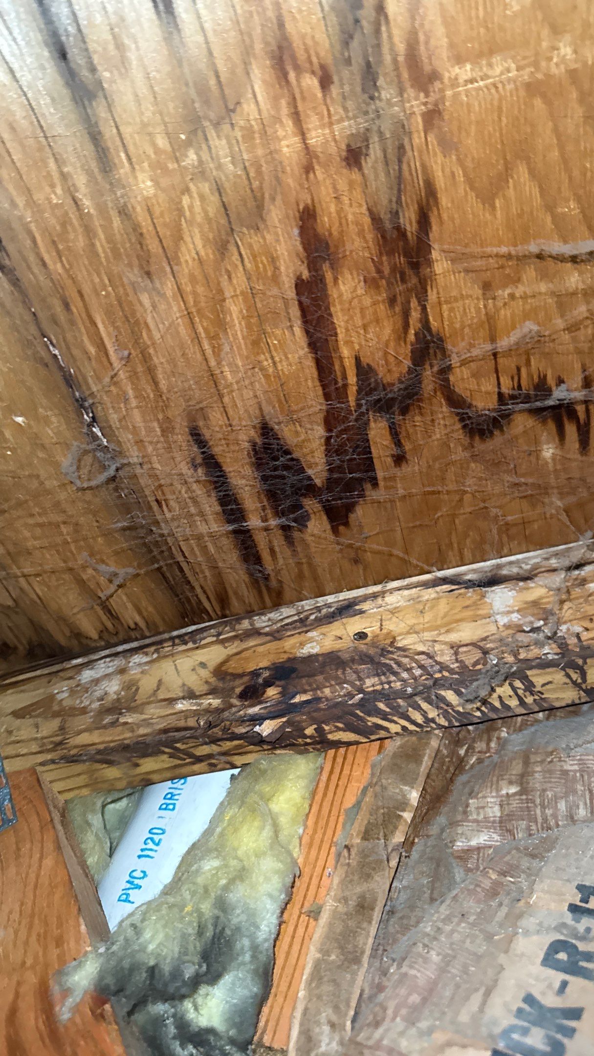 Roof Replacement using Owens Corning Brownwood by 180 Contractors