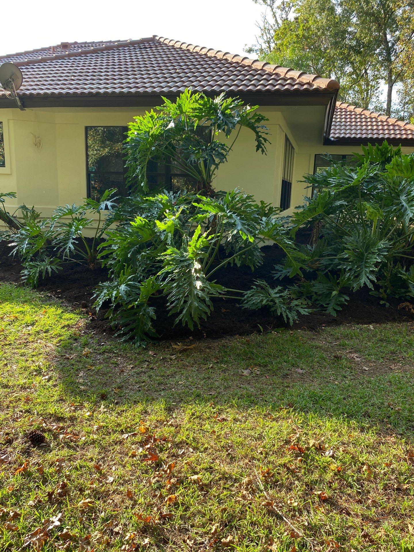 Deerwood Residence | Sod Repair & Mulch Installation  by ProGreen Services
