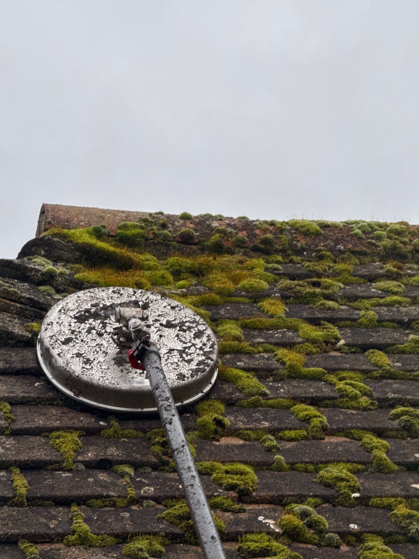 Roof Clean  - Moss Removal - Gutter Clean using Honda 15lpm Low Pressure Washing Machine by Ges Exterior Cleaning ltd