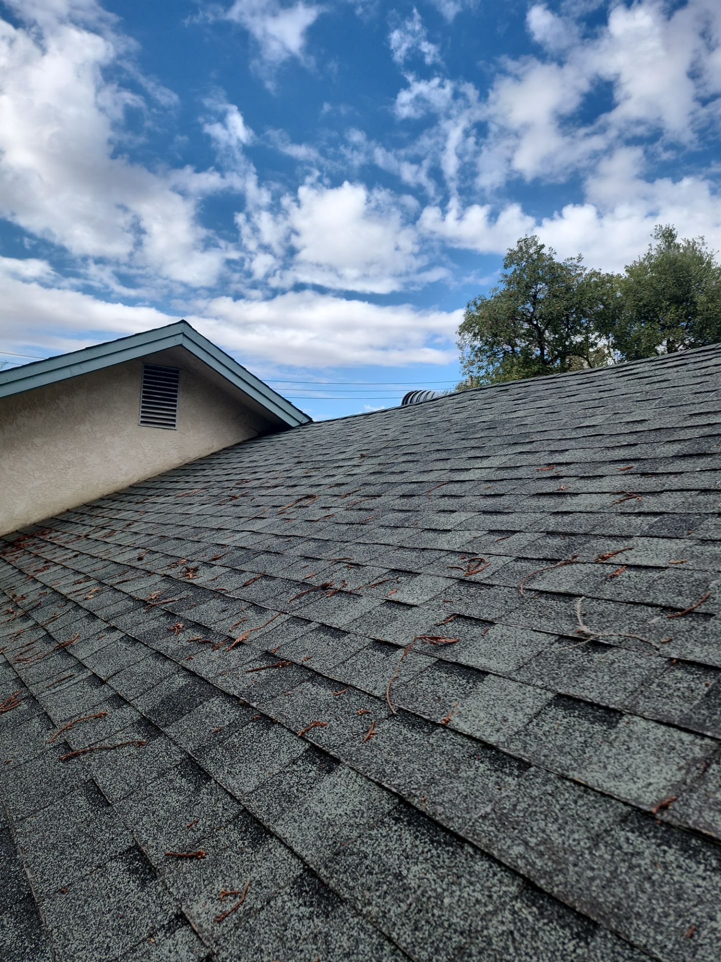 Roof Rejuvenation using Roof Maxx Treatment by Roof Maxx of Folsom