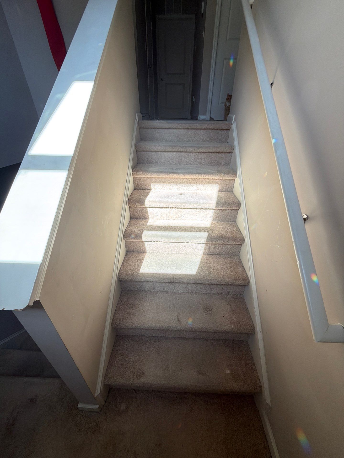 Project 75 by FMP Flooring