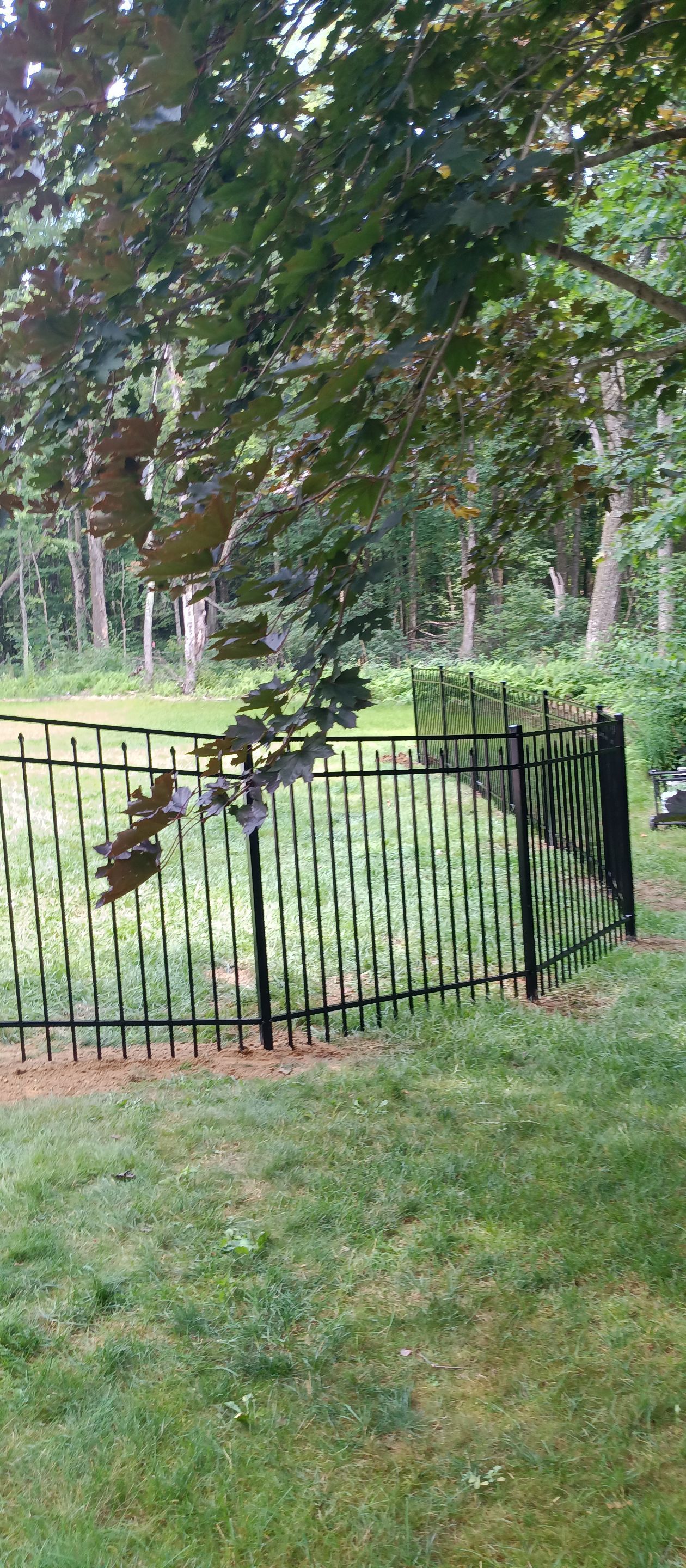 New 5' Tall Aluminum fence with matching arched gates, Black by DiGiorgi Roofing and Siding Inc