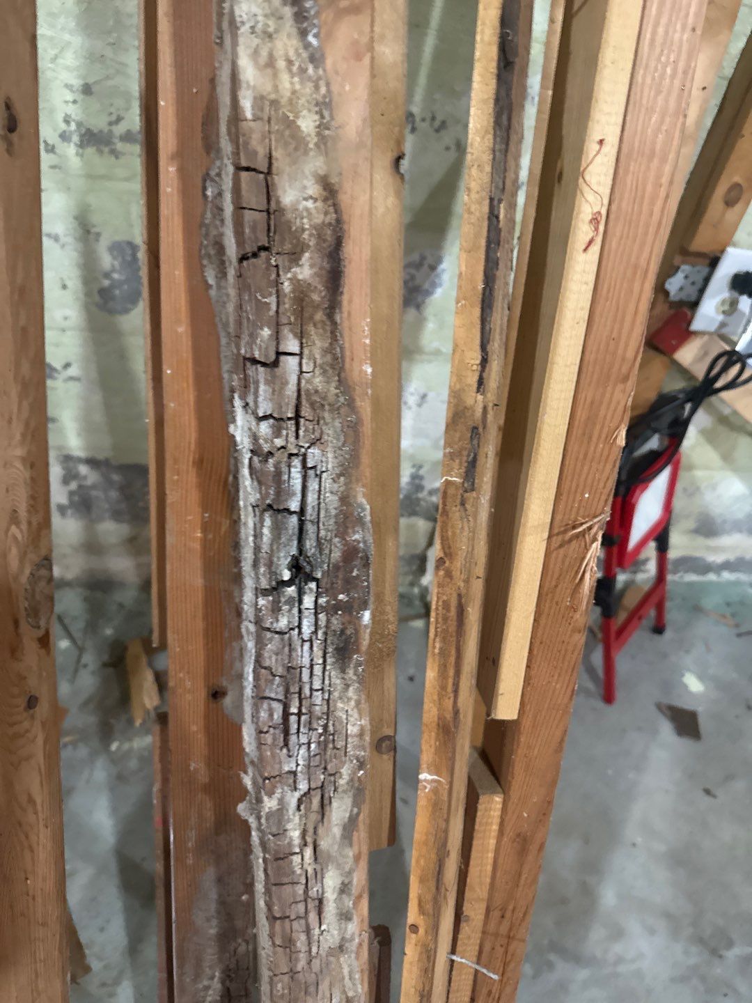 Post‑Remediation Clearance Test & Corrective Mold Remediation, Dover, DE. by Healthy Home Solutions