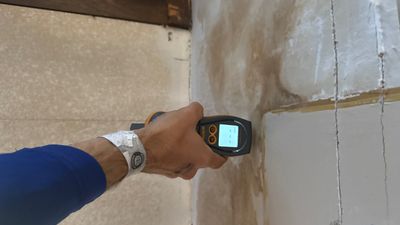 Mold Remediation — Pensacola, FL