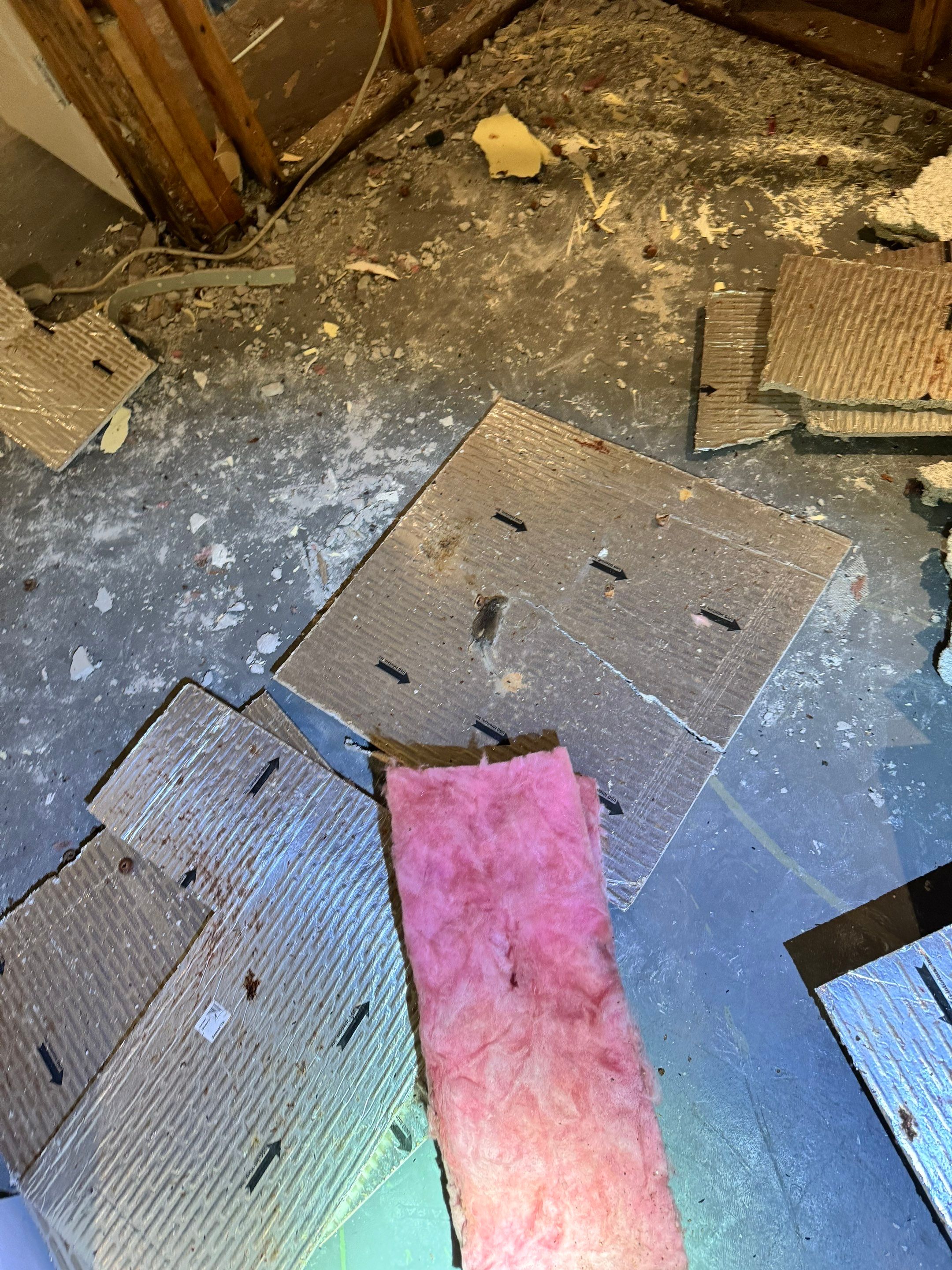 Mold Remediation using Home Guarantee by Home Guarantee, LLC