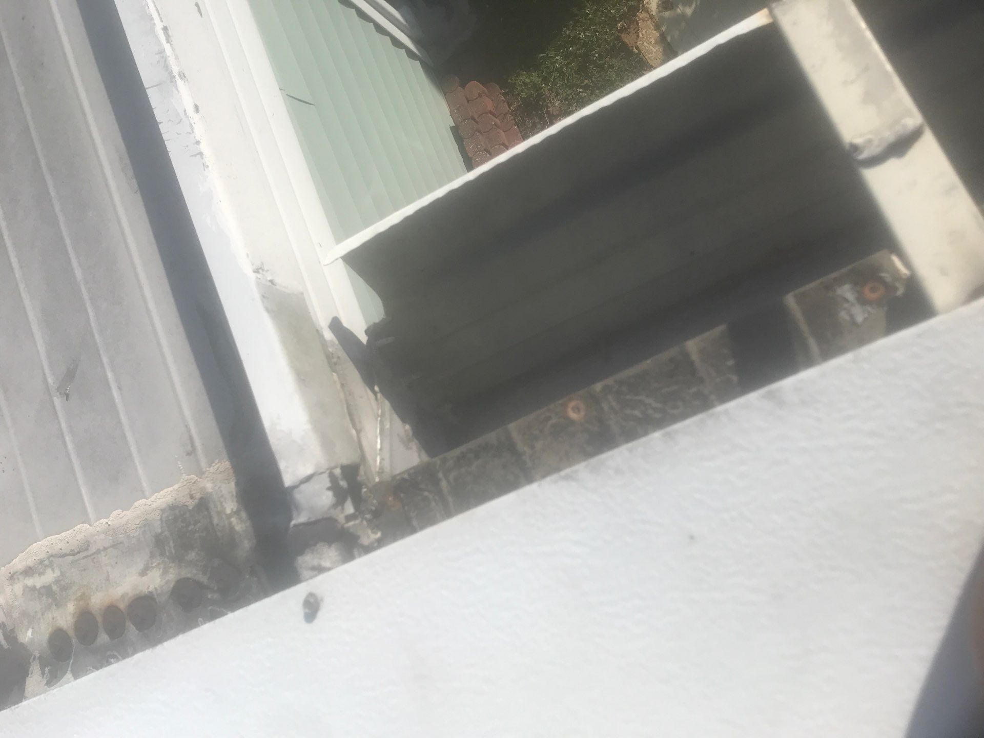 Cleaning Gutters in Fort Myers FL by Gutter Professors