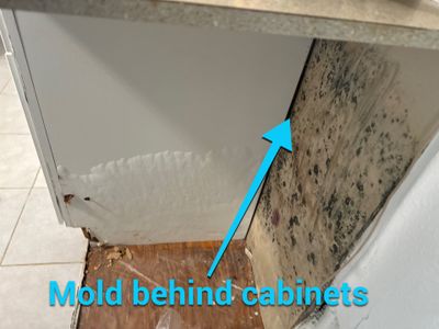 Mold 