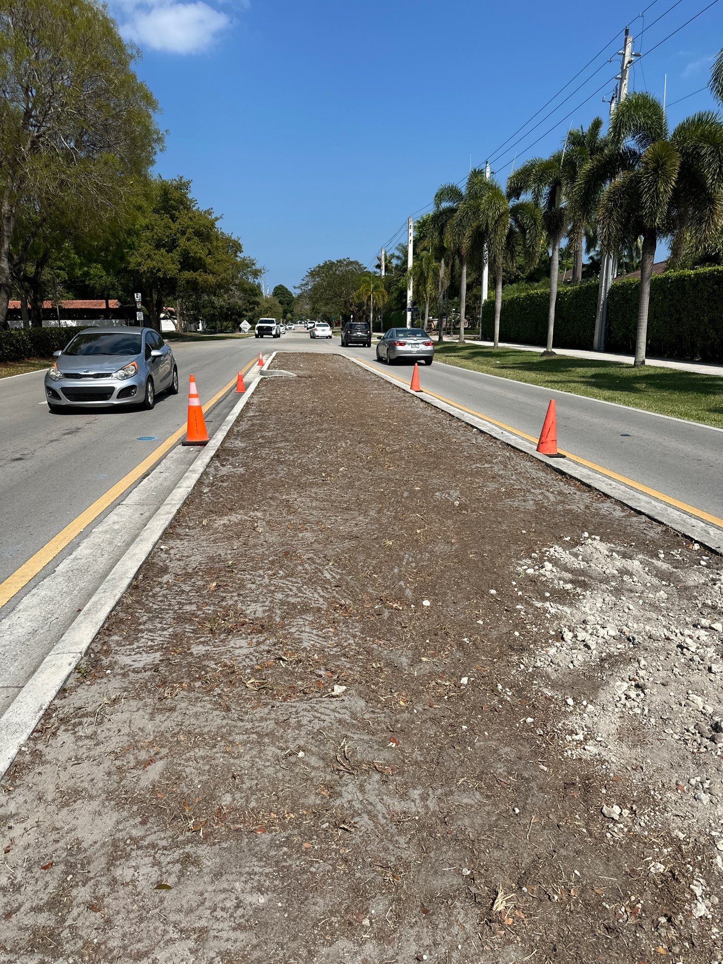 Pinecrest Median - New Native Landscape by Nature's Dream by Nature's Dream Landscape and Tree Service