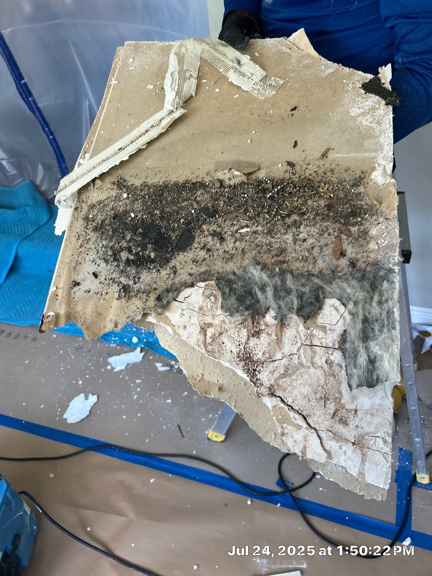 Mold Inspection & Mold Removal In St. Petersburg, FL by Ampm Restoration Services