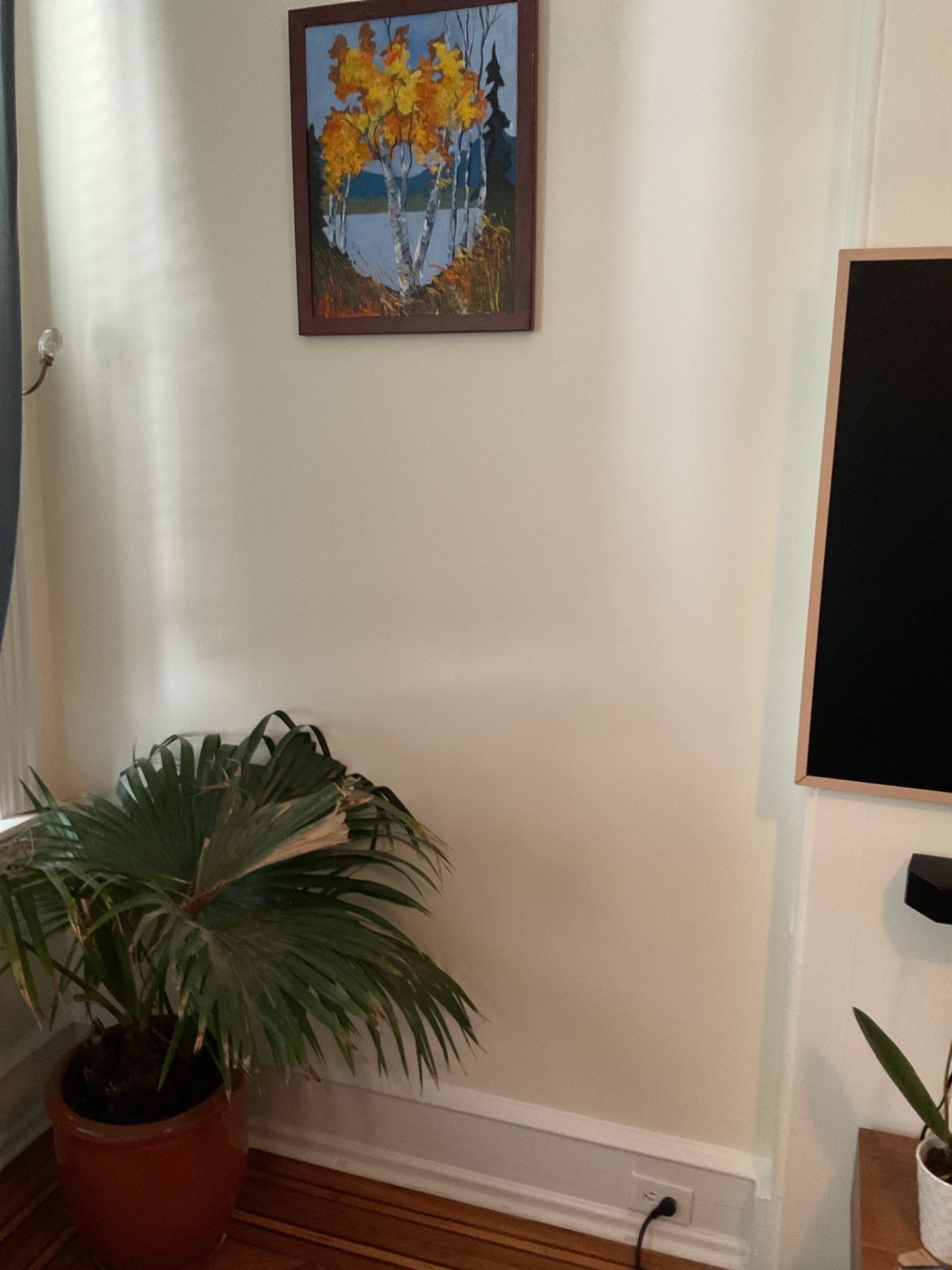 Full Interior & Exterior Restoration ā Custom Color Match & Stucco Repaint | East Falls, Philadelphia by Groovy Hues