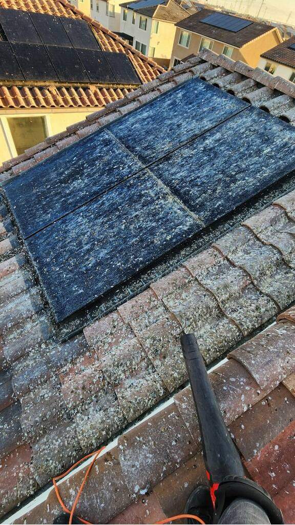 Bird Proofing Solar Panels in Ontario Ca by Palm Coast Solar Cleaning