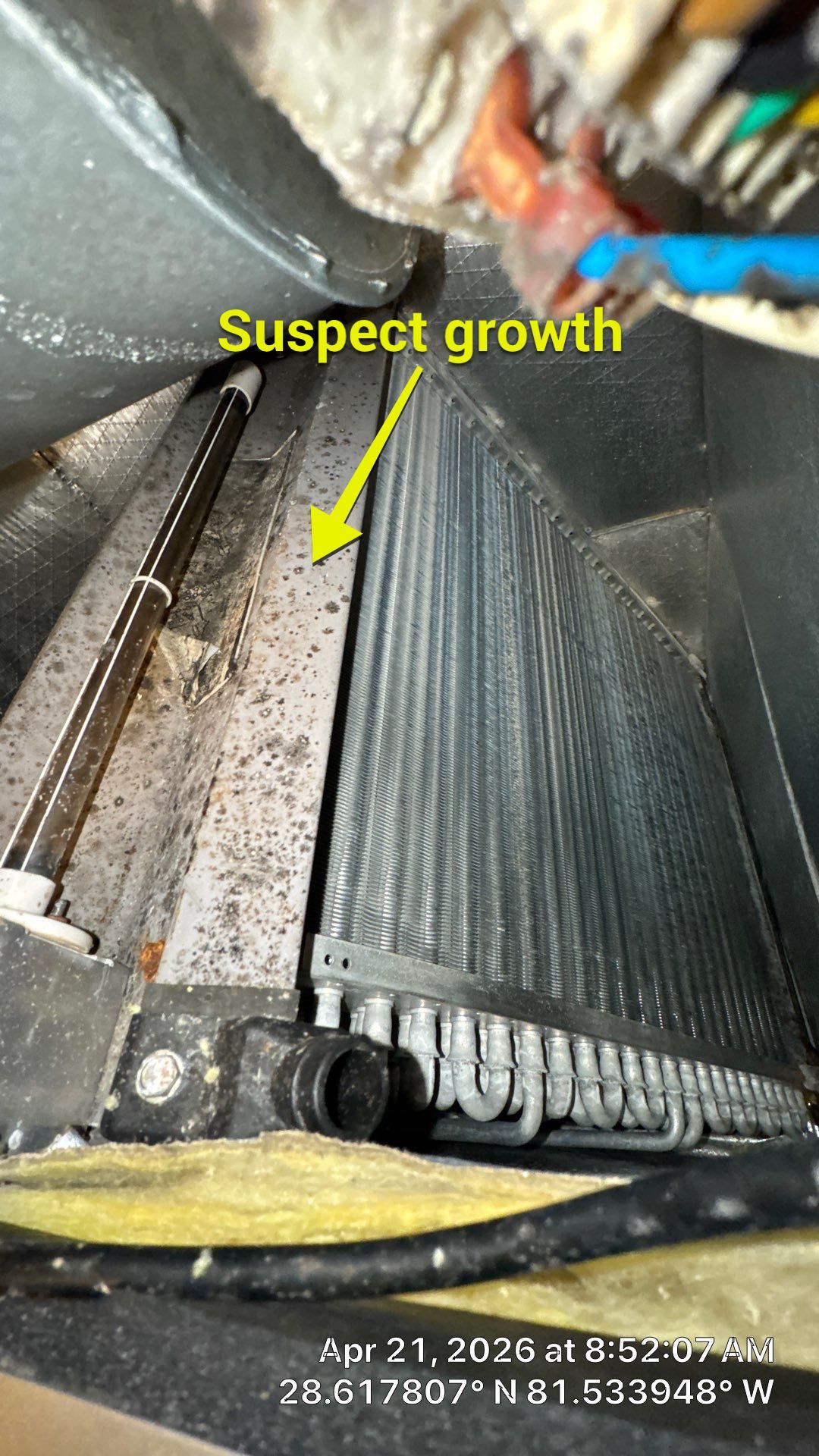 Air Duct Cleaning in Ocoee by Hygienic Air, Inc