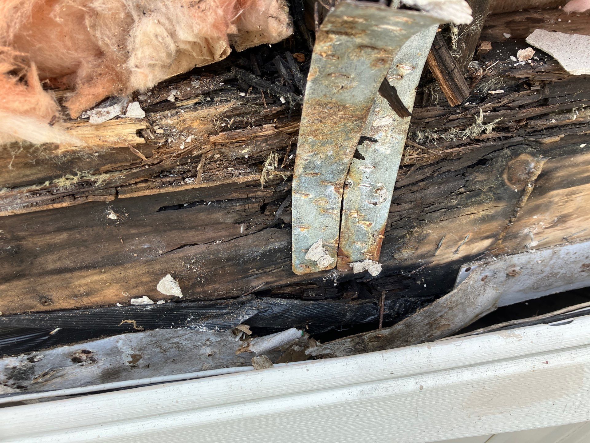 Trailer Park Treasure! by Bayfront Roofing and Construction