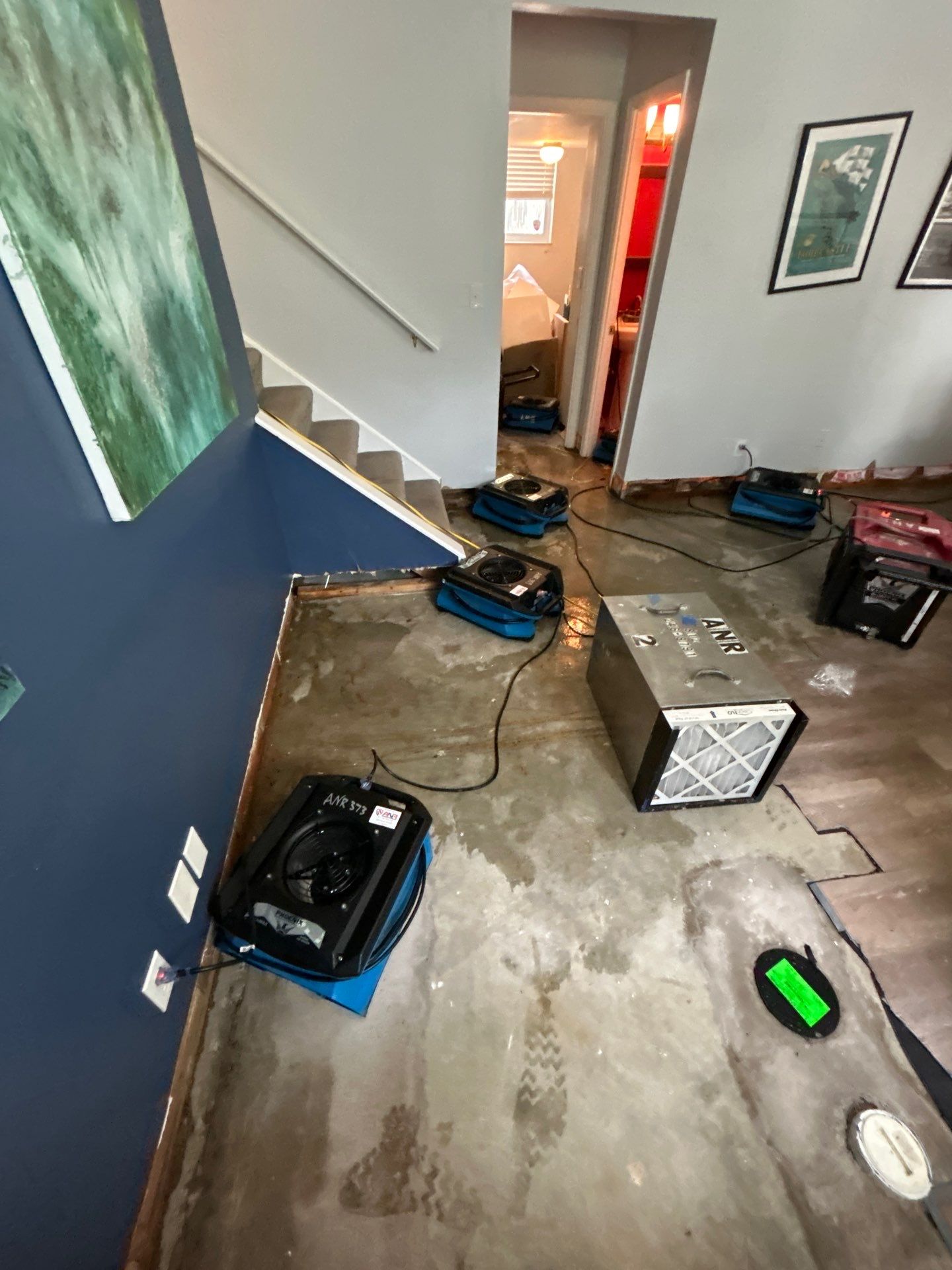 Full Service Restoration by ANR Restoration