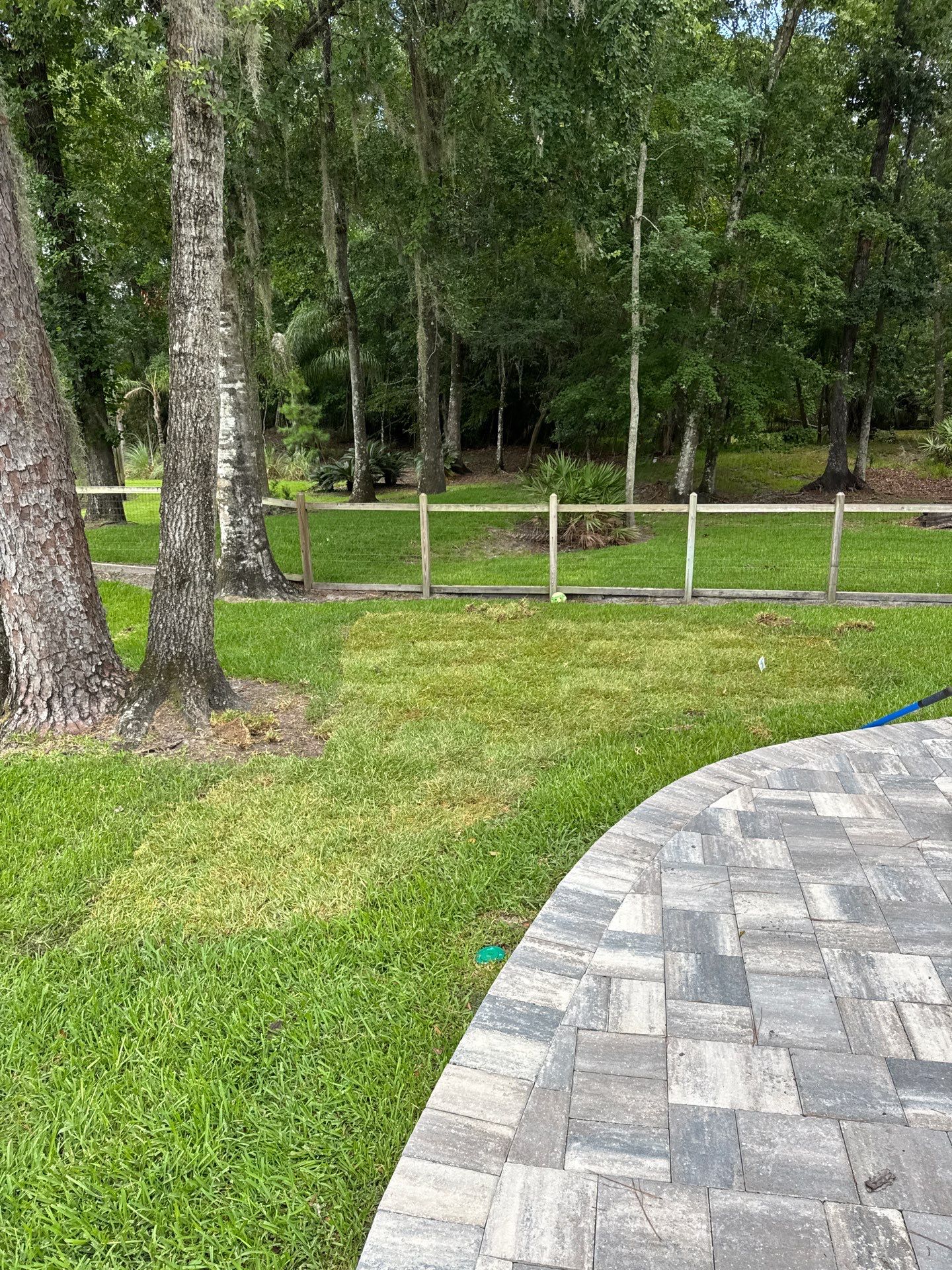 Deerwood Resident | Sod & Bed Design/Plant Installation by ProGreen Services
