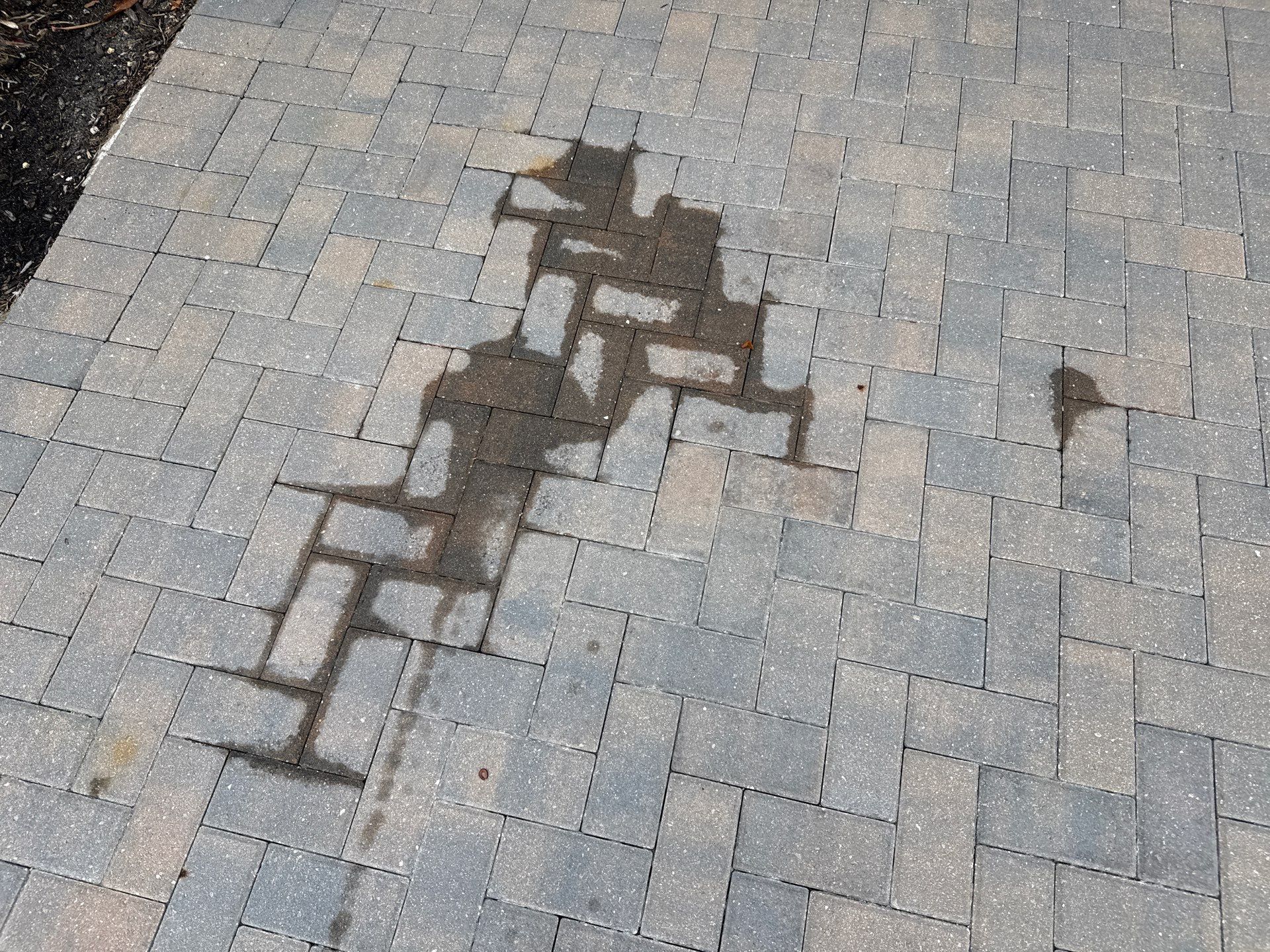Oil Stain Removal on Pavers β Trevesta Community, Palmetto, FL π‘β¨ by Sunshine AquaWash