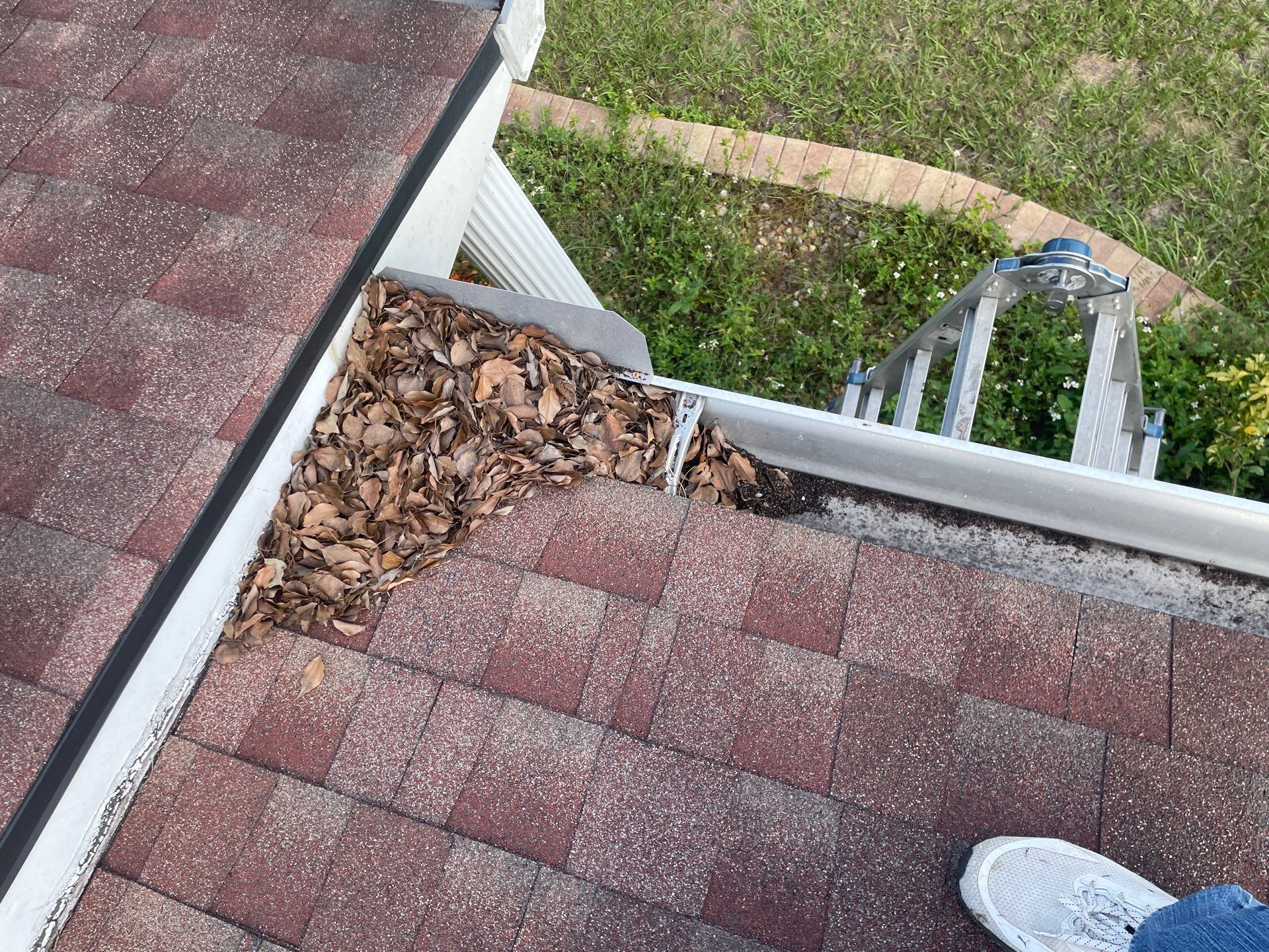 Gutter Cleaning in Brandon FL by Gutter Professors