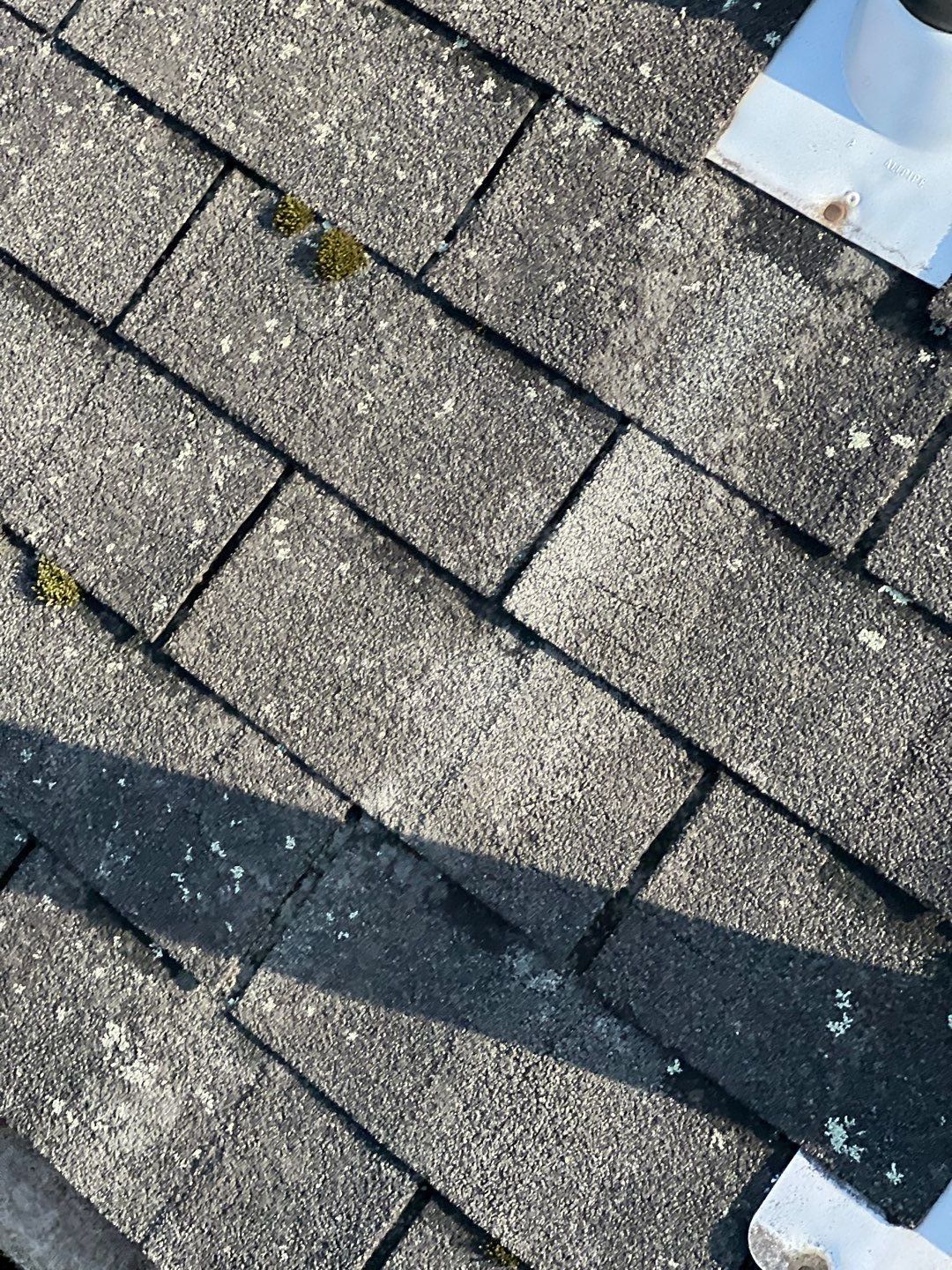 Annandale: CertainTeed Landmark Pro Designer Shingles in Max Def Charcoal Black by RM Banning, Inc.