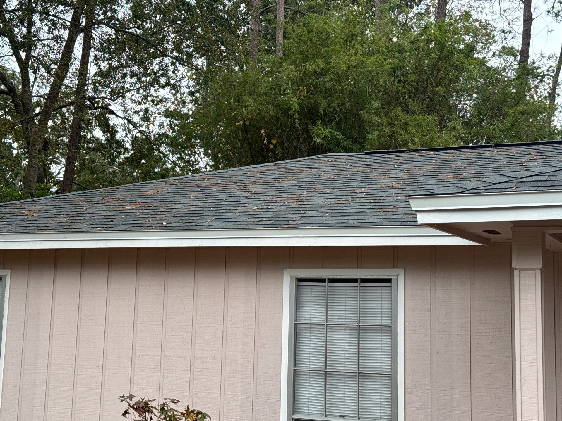 Asphalt Shingles Reroof in Gainesville, FL by Brehm Roofing