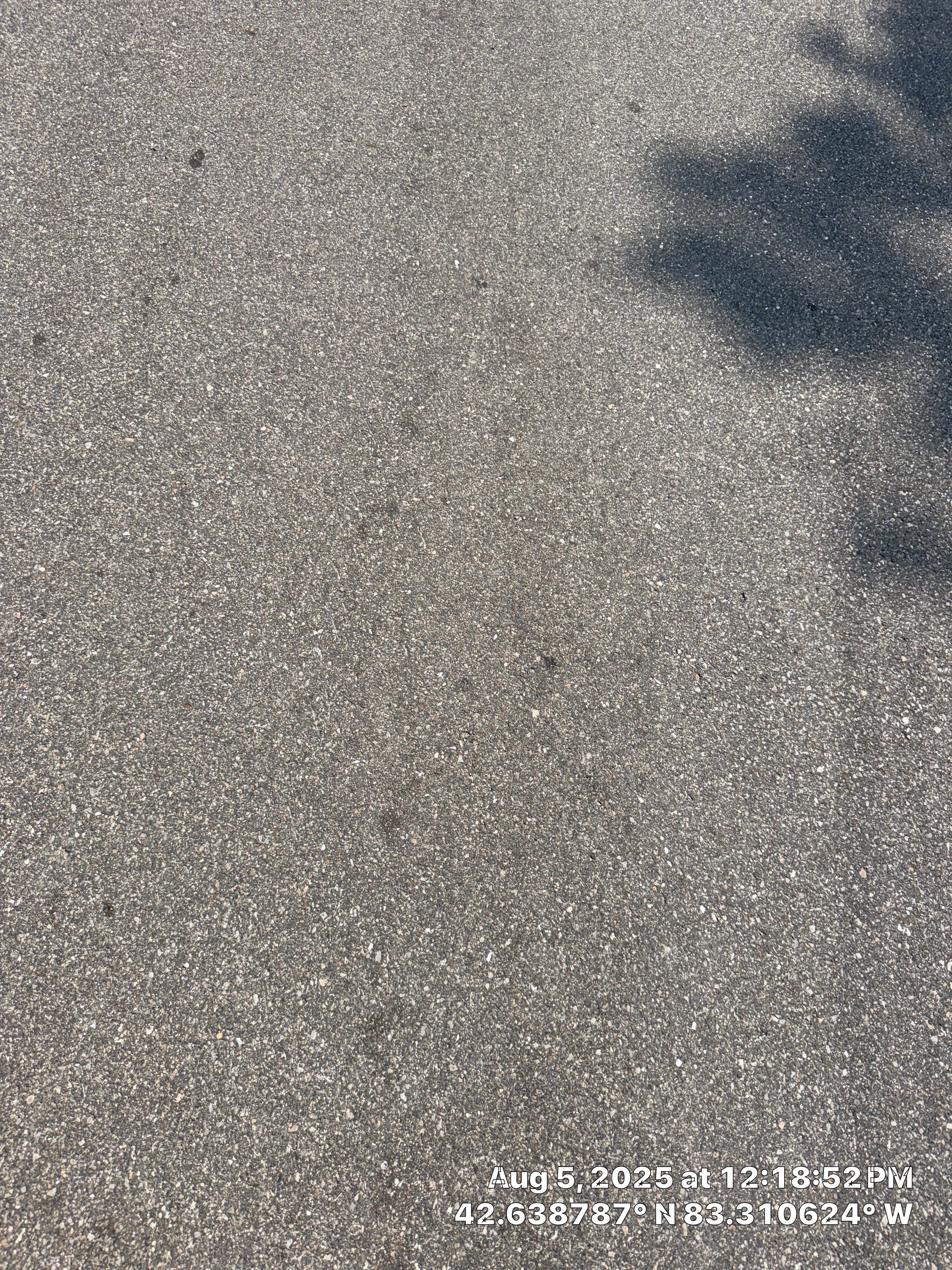 Roof Repair in Pontiac by EverNew Roofing 