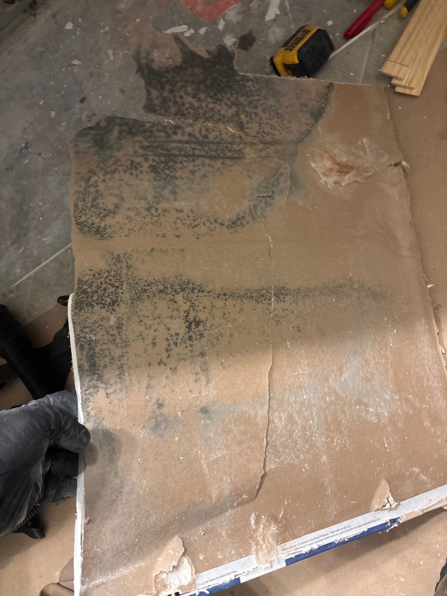 Mold Damage Inspection In Bradenton Florida by Ampm Restoration Services