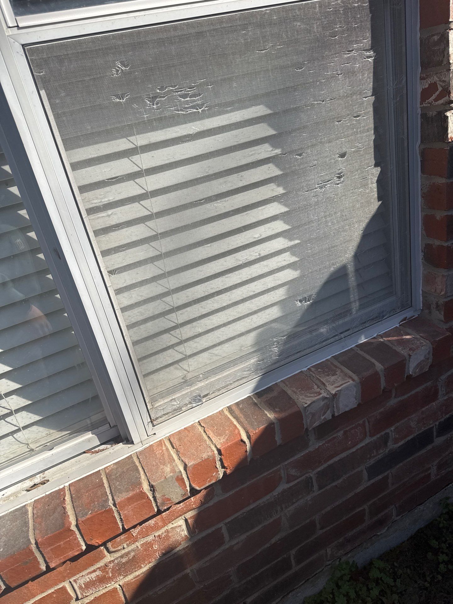 Project in Forney by Rhino Roofing and General Contracting, LLC