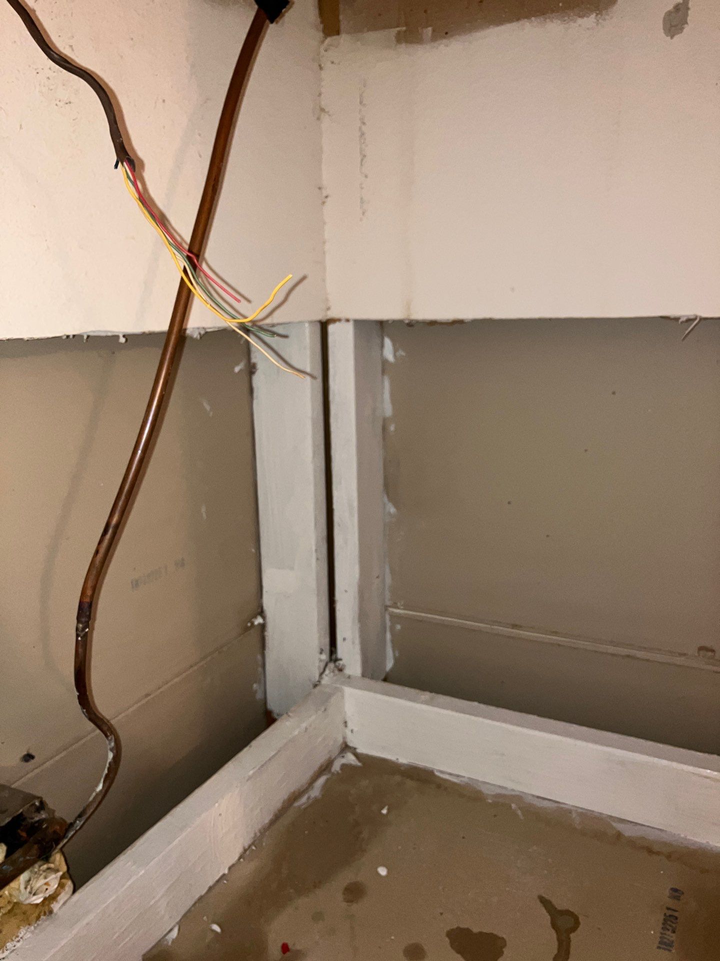 Bradenton Mold Remediation by Ampm Restoration Services