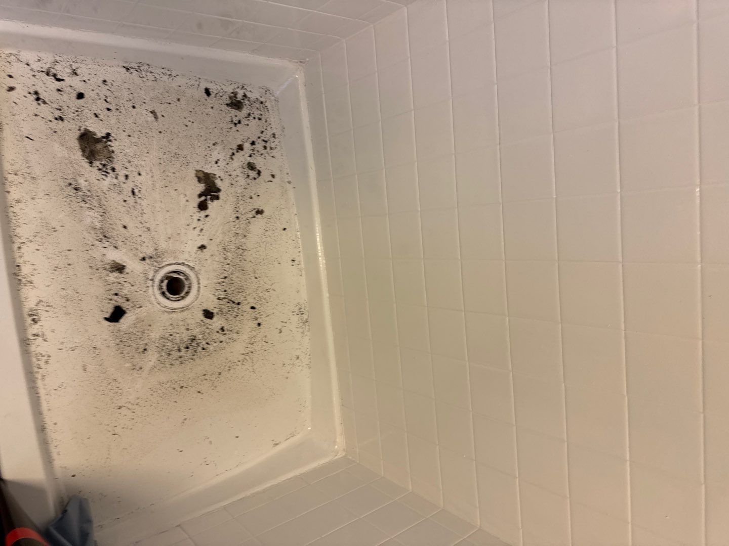 Sewer Drain Back in Basement by Chicagoland Water Medics