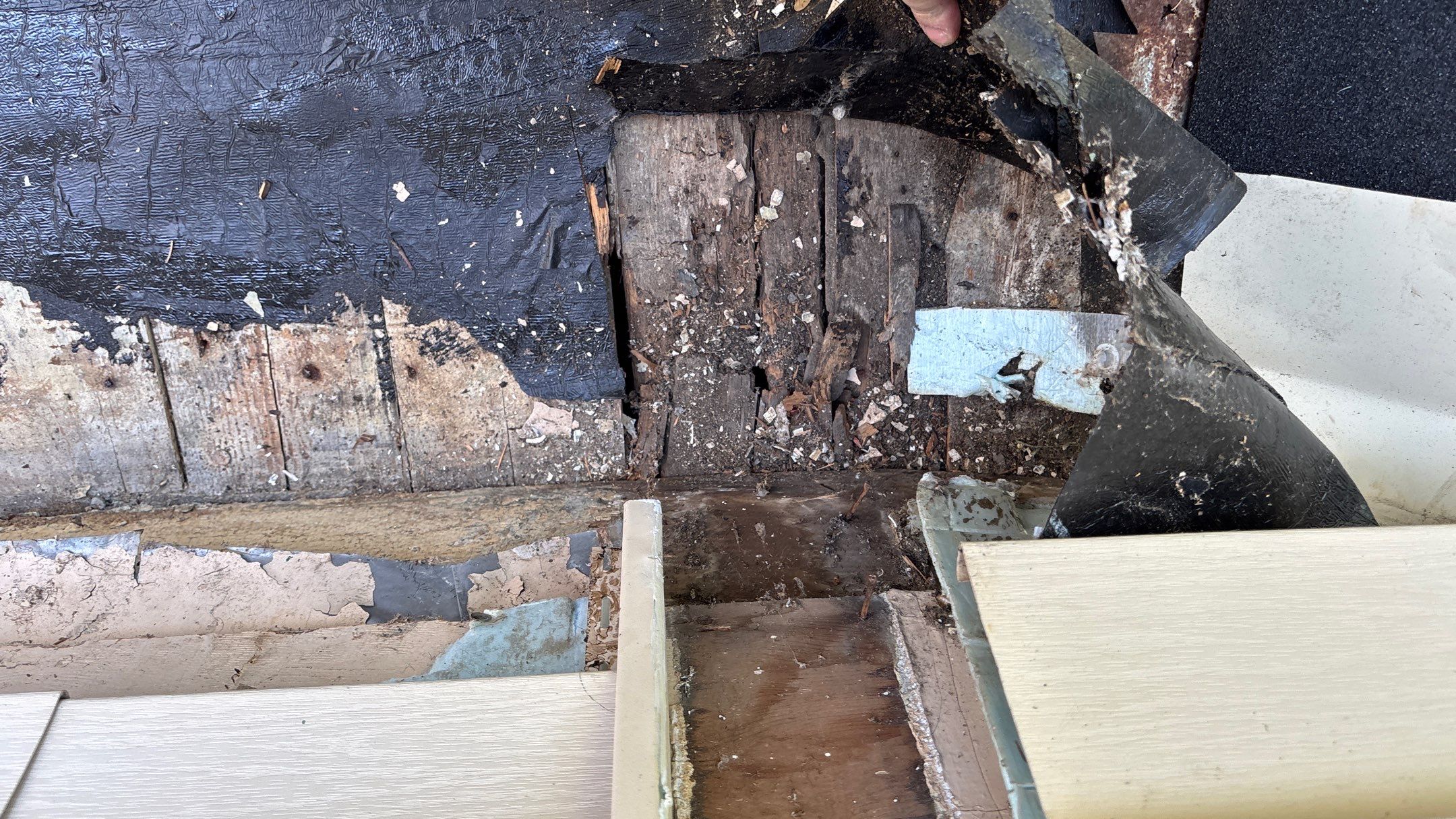 Roof Replacement using Owens Corning Summer Harvest by 180 Contractors