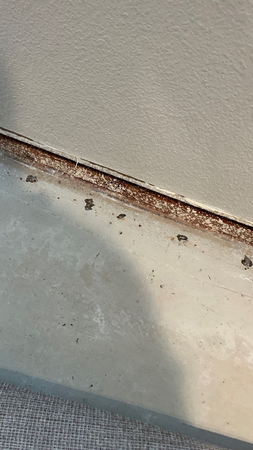 Mold Remediation  by Accountable Home Services