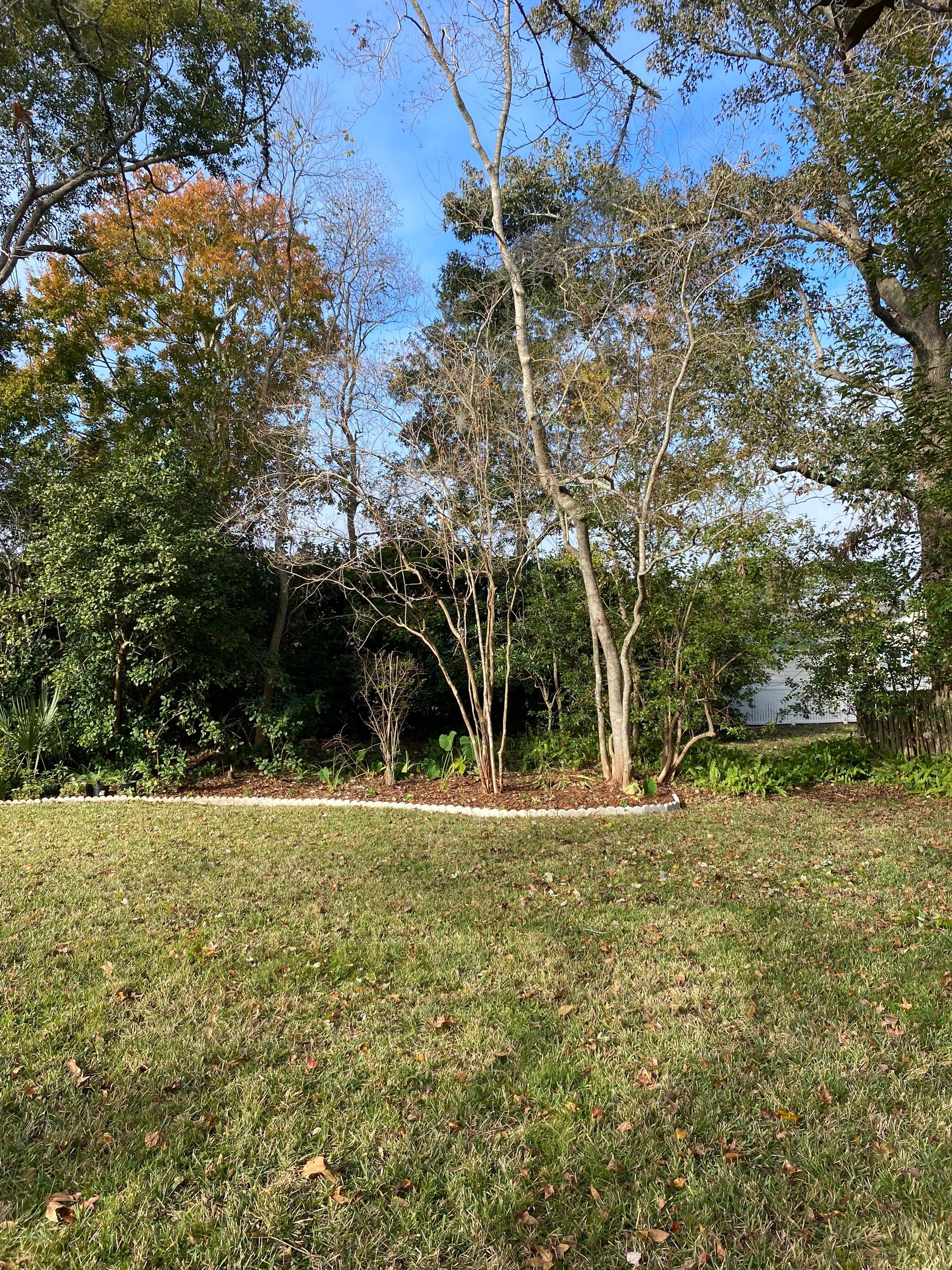 Deerwood | Tree Service by ProGreen Services