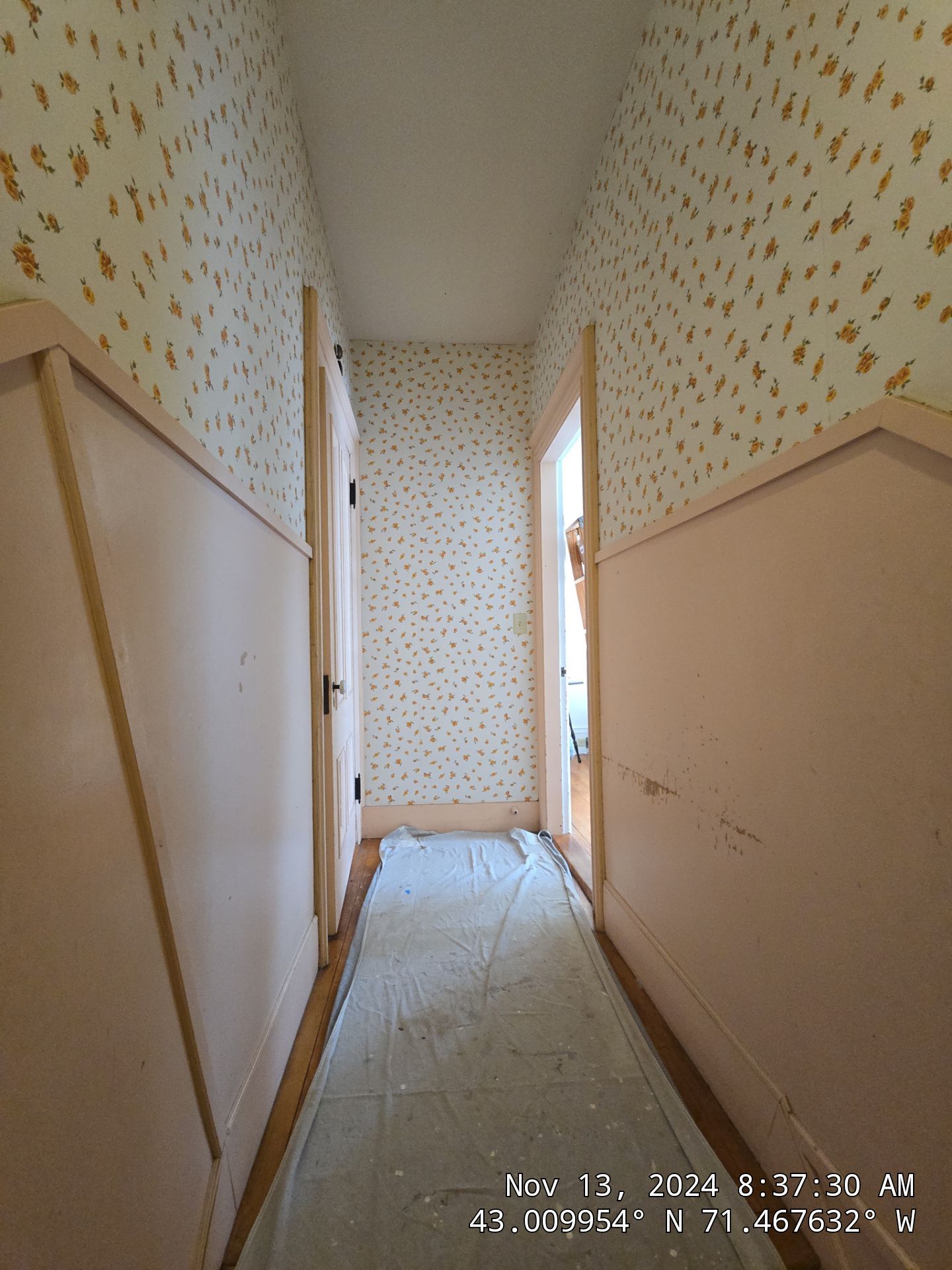 Refreshing an old back hallway for a favorite regular in Manchester's North End by The Persnickety Painters