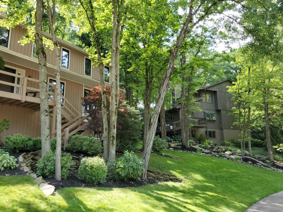 Tree Trimming using Tree Pruing by Mike Jones & Sons Tree Service LLC 