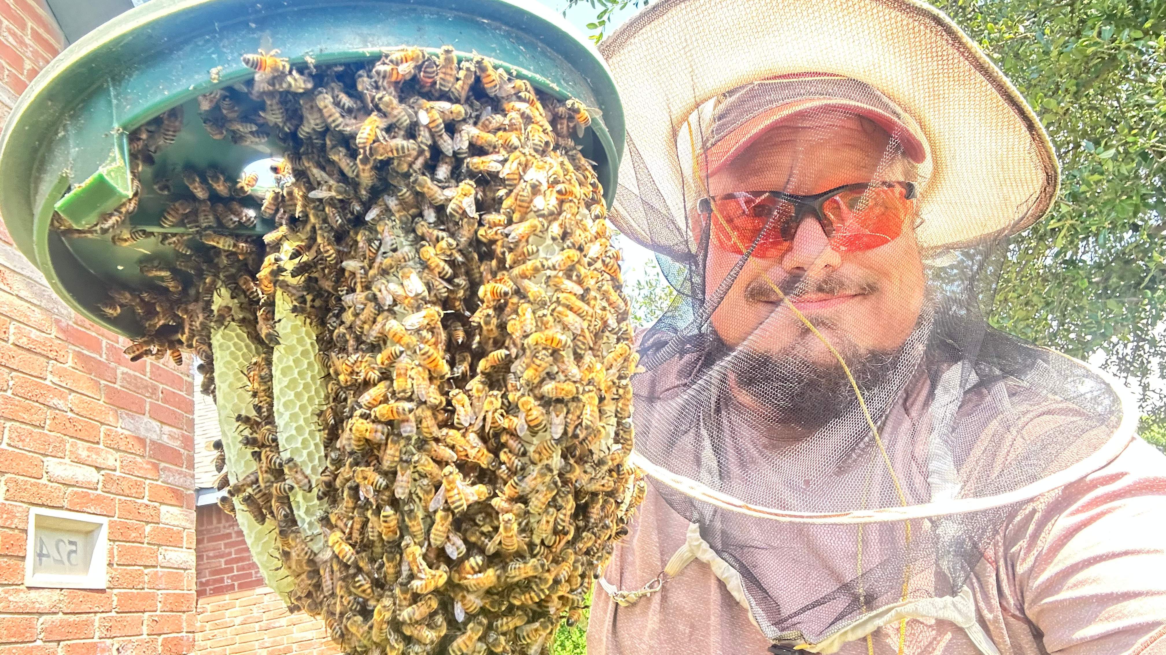 Irrigation Box by Rockwall Honey Bee Company