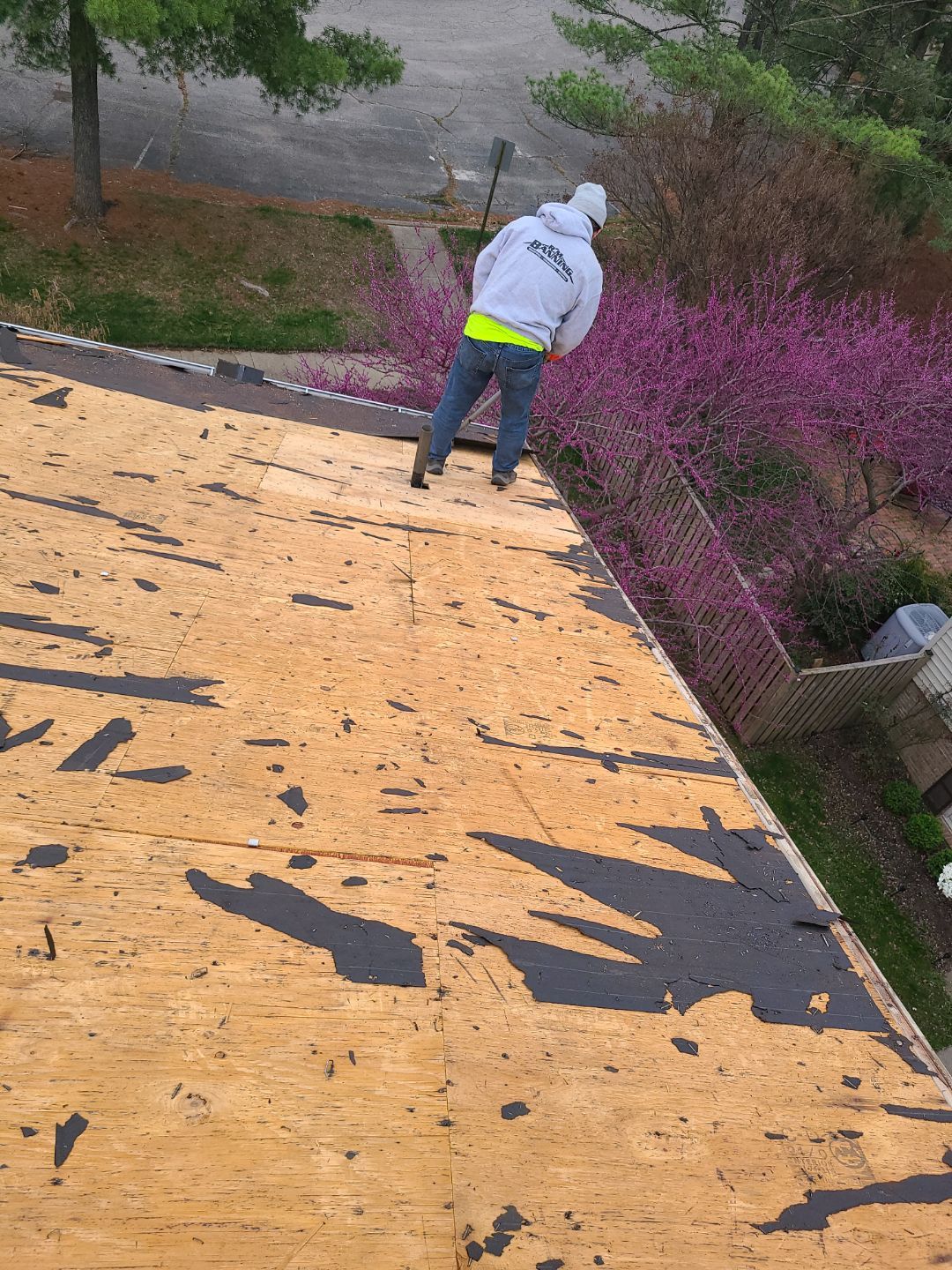 Springfield: Residential Roof Replacement with CertainTeed Landmark Pro in Max Def Red Oak by RM Banning, Inc.