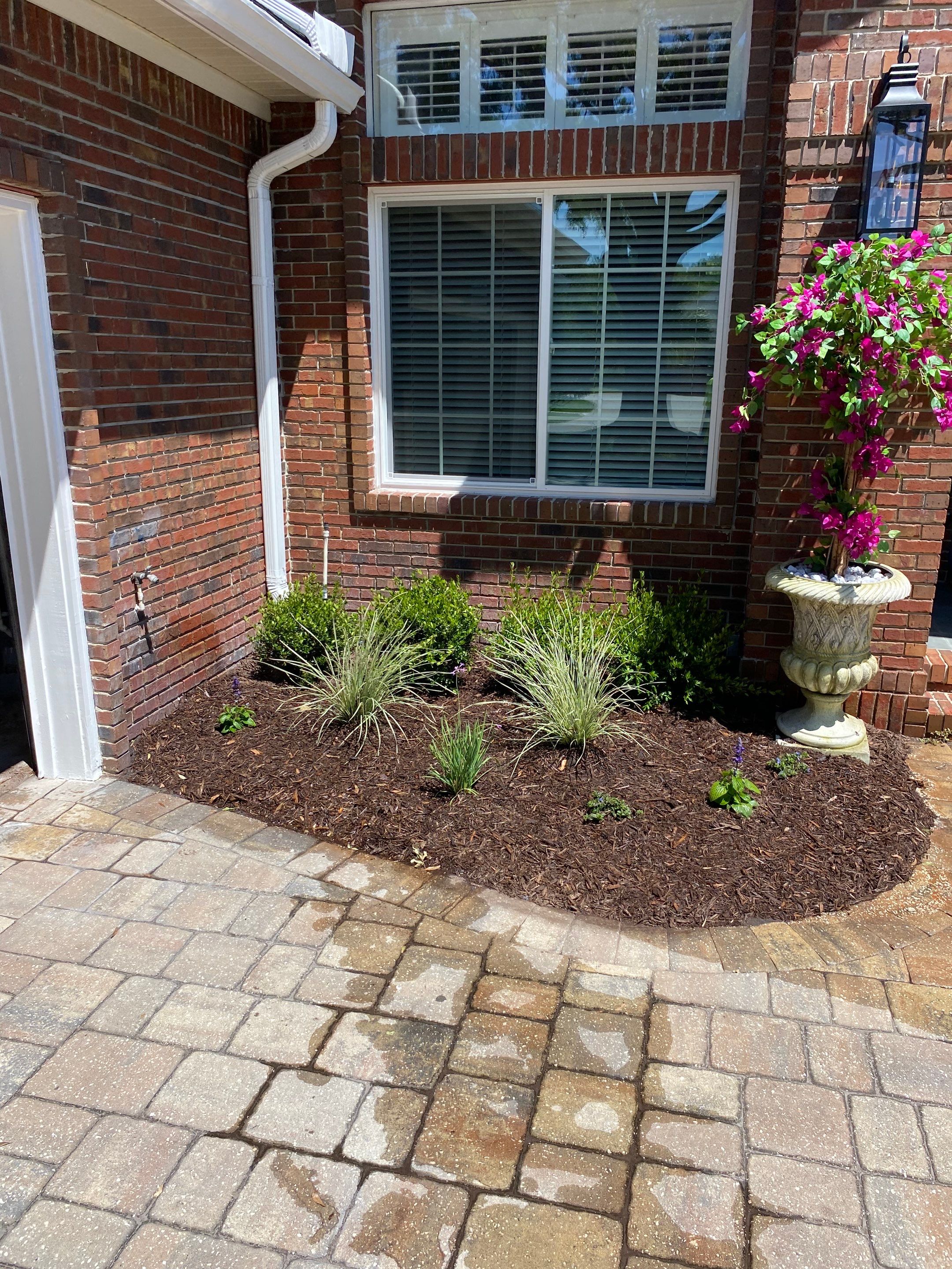 Deercreek Resident | Landscape Update by ProGreen Services