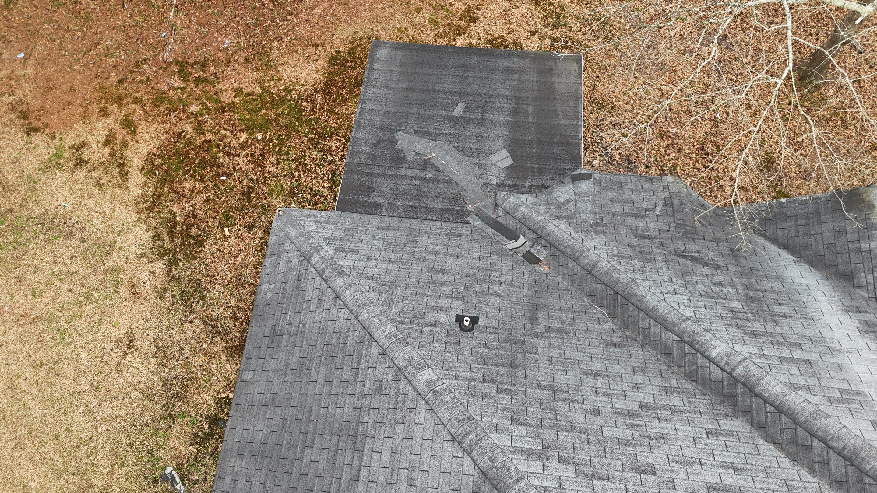 Rotten Wood by Roof Bullies