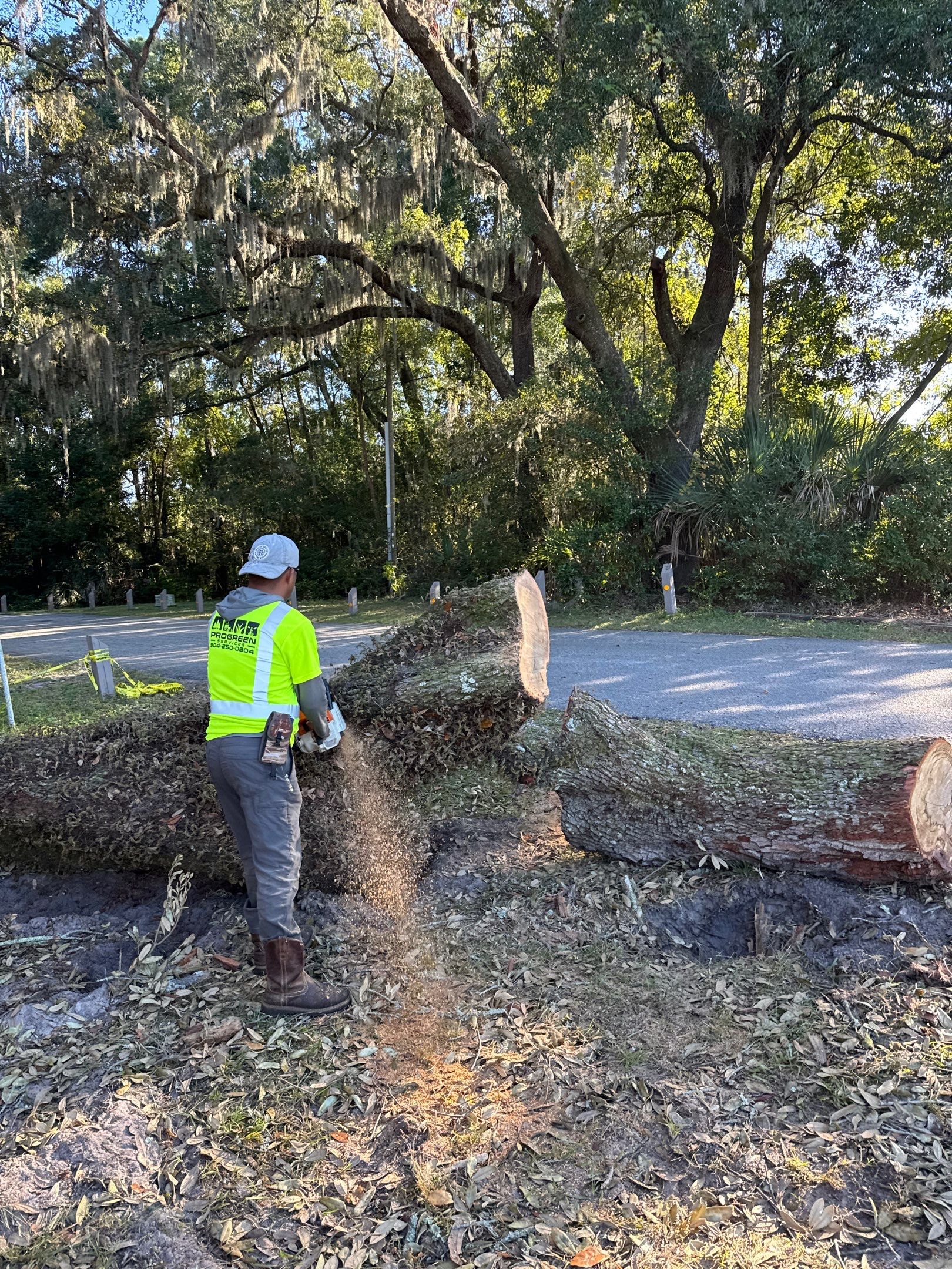 Episcopal | Large Tree Removal by ProGreen Services