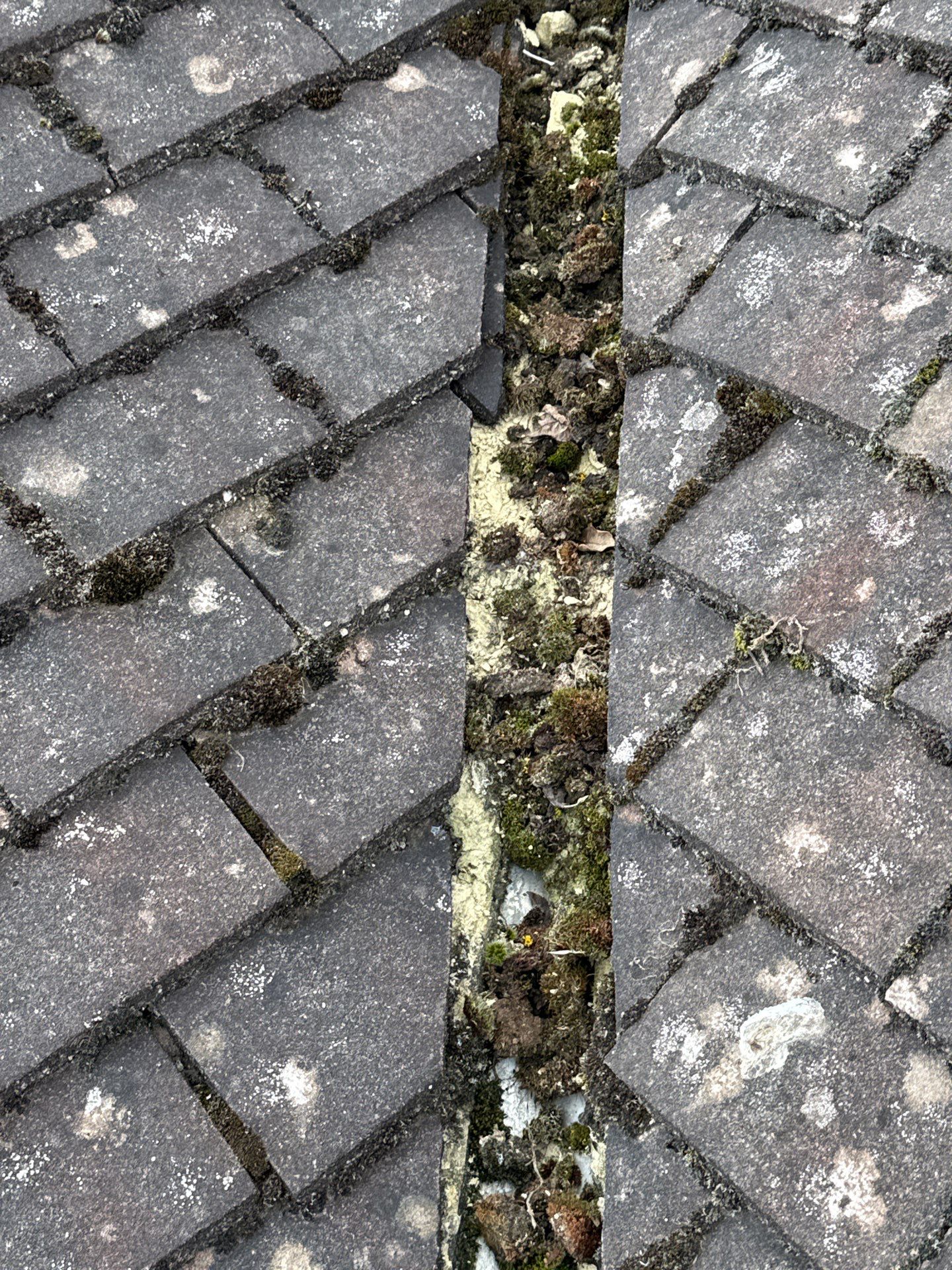 Roof Clean  - Moss Removal - Gutter Clean using Honda 15lpm Low Pressure Washing Machine by Ges Exterior Cleaning ltd