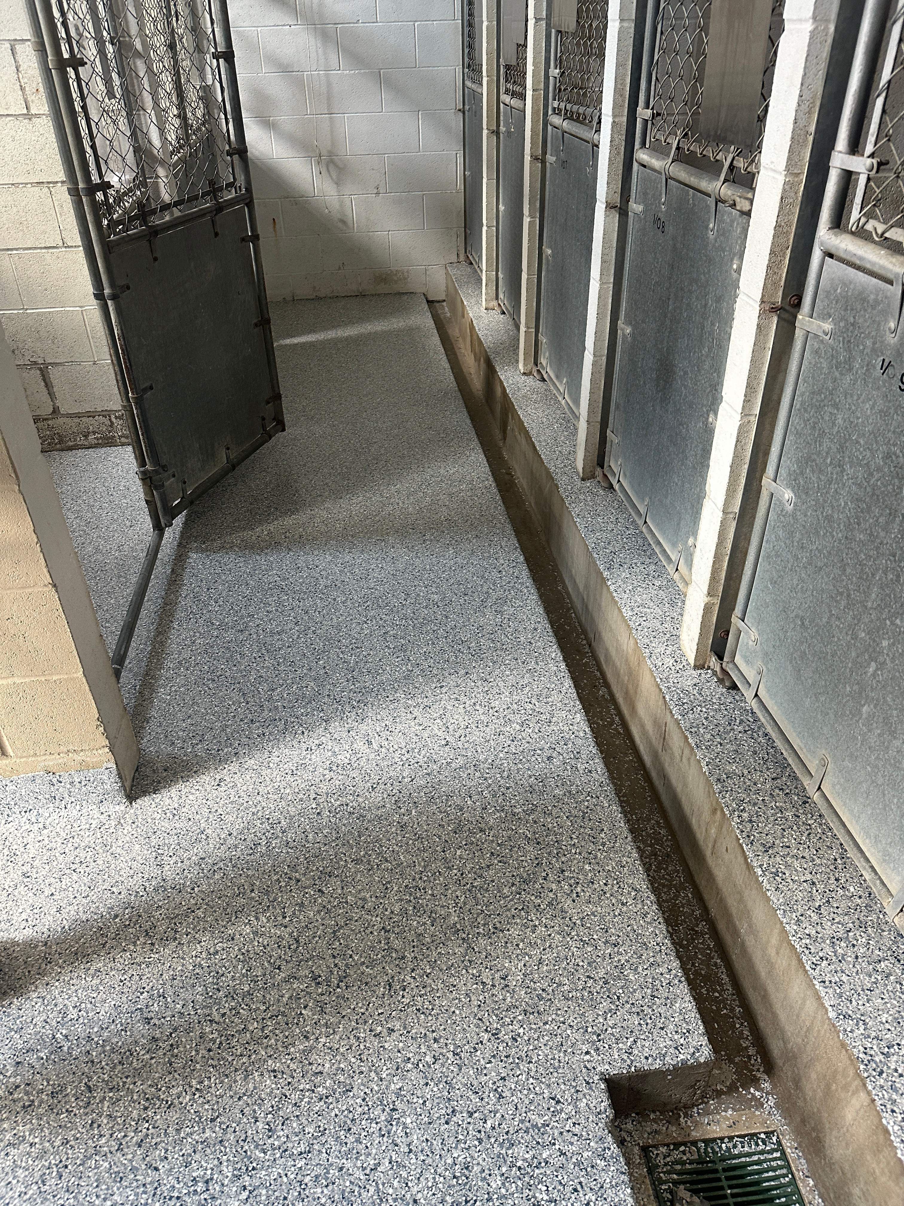 Steamboat Canine Shelter Normal by Loud Bros