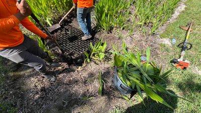 Community Annual Storm System Maintenance and Camera Inspection
