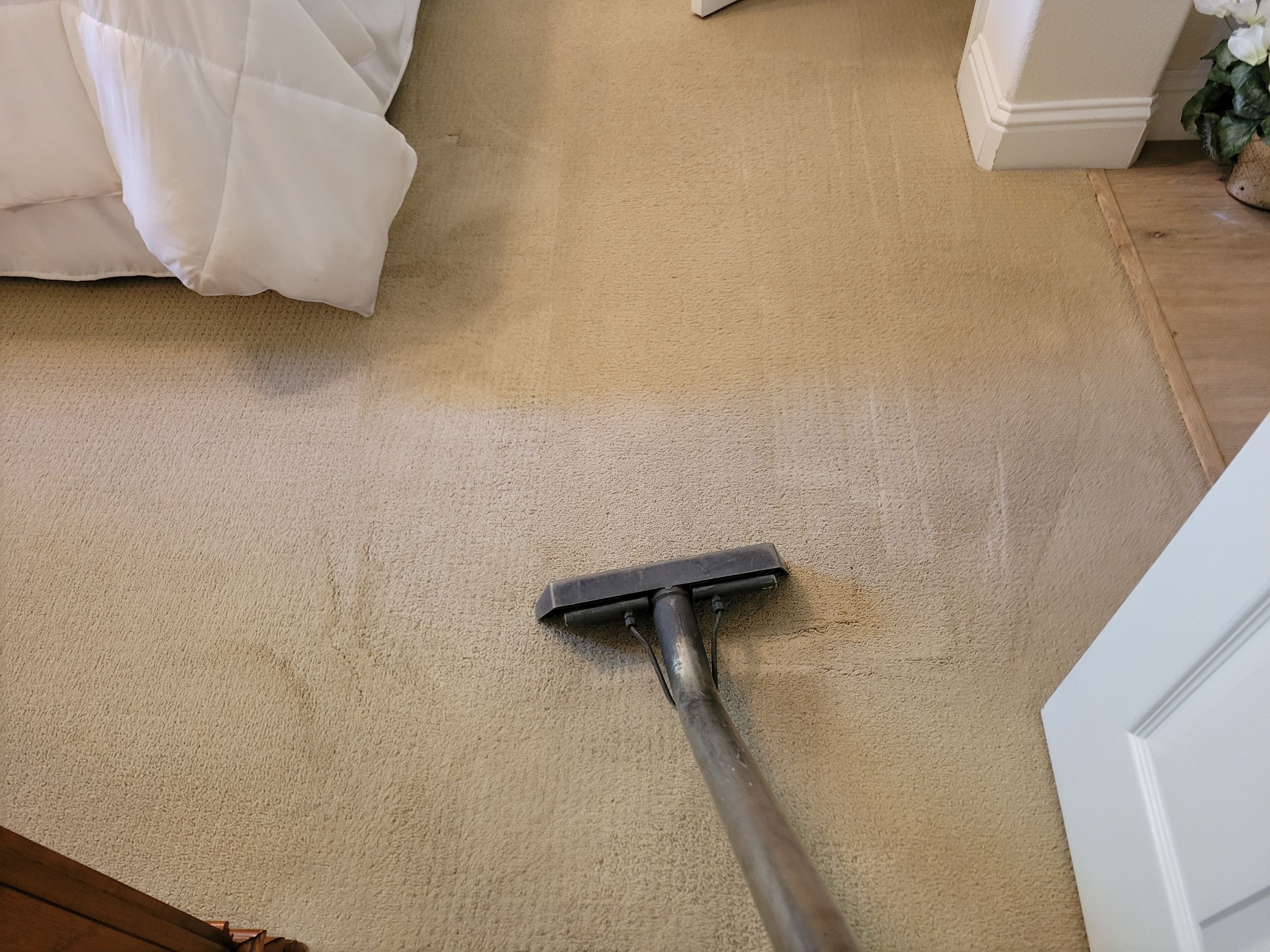 Annual Carpet Cleaning by Ardent Carpet Restore LLC