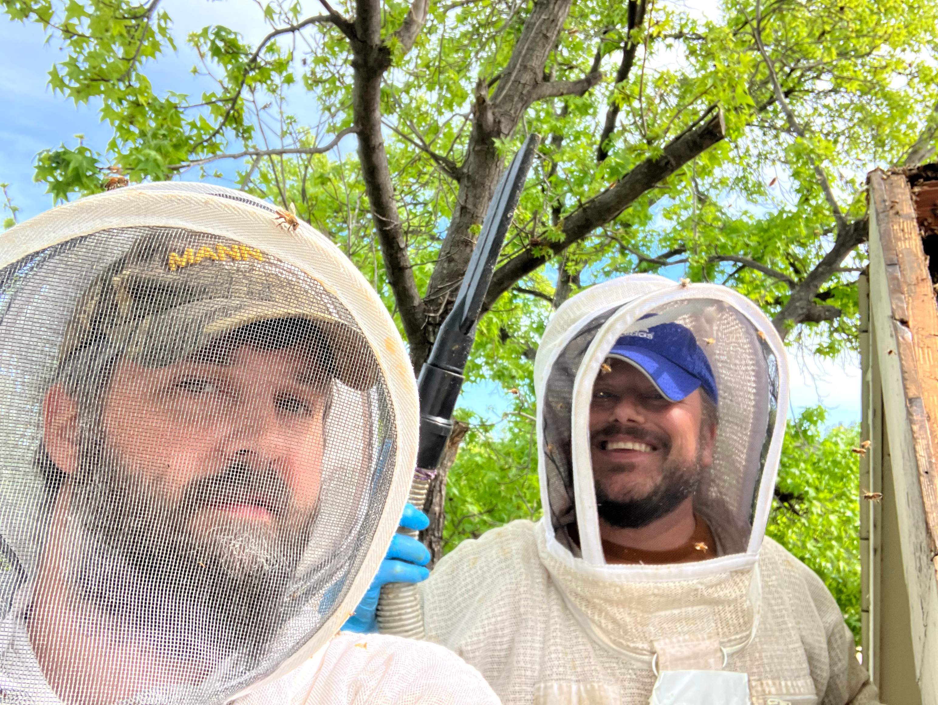 Commercial Roof by Rockwall Honey Bee Company