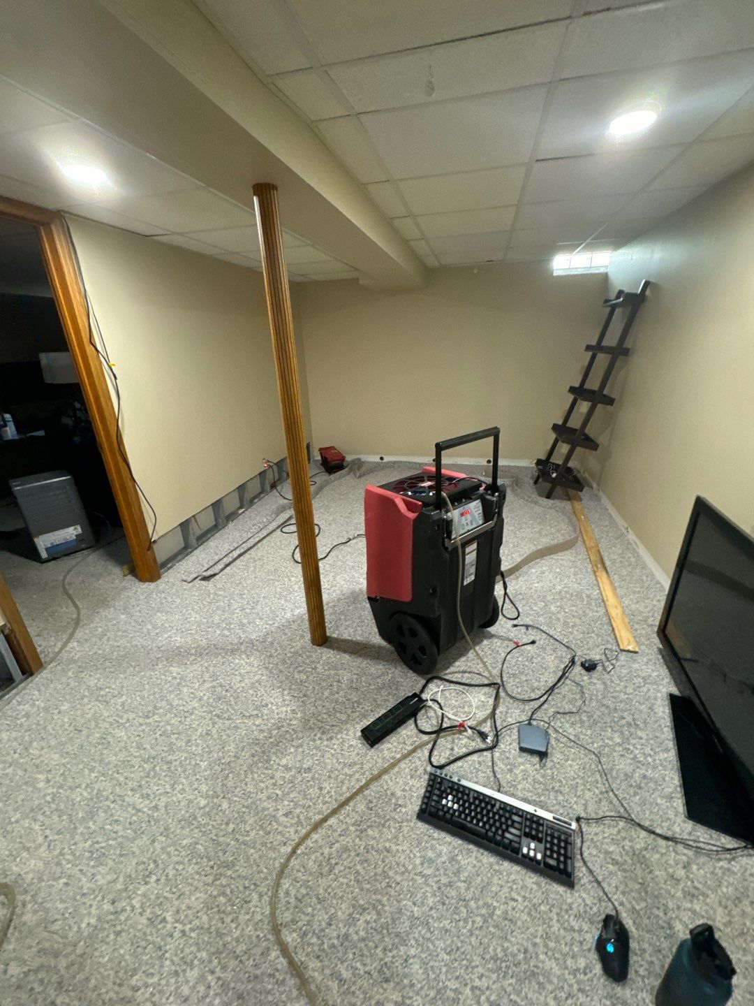 Project in Sterling Heights by EzDry Water Mitigation & Property Restoration