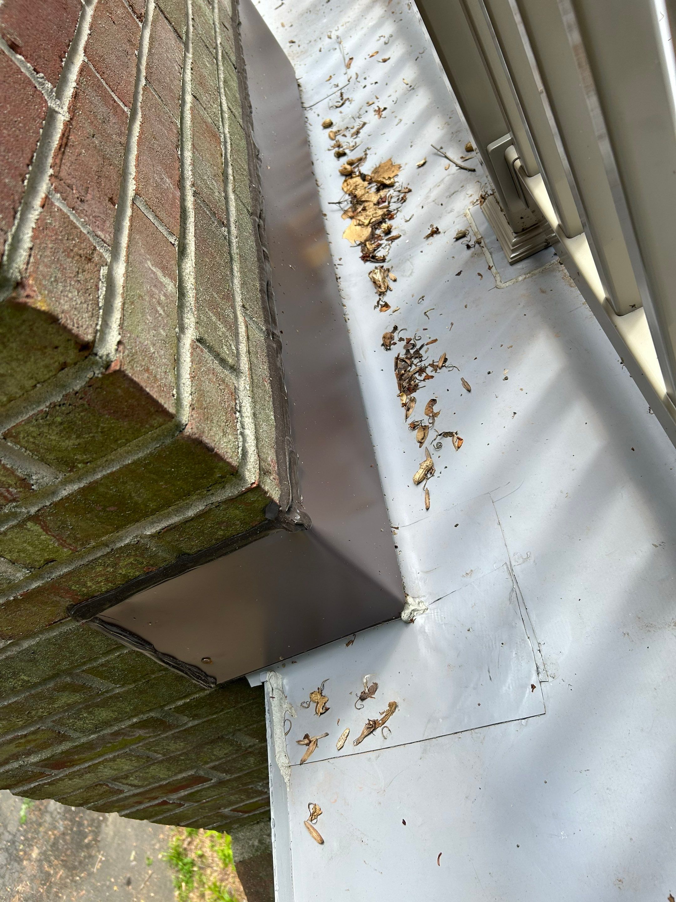 Annandale: Multi-Trade Tree Damage Restoration by RM Banning, Inc.